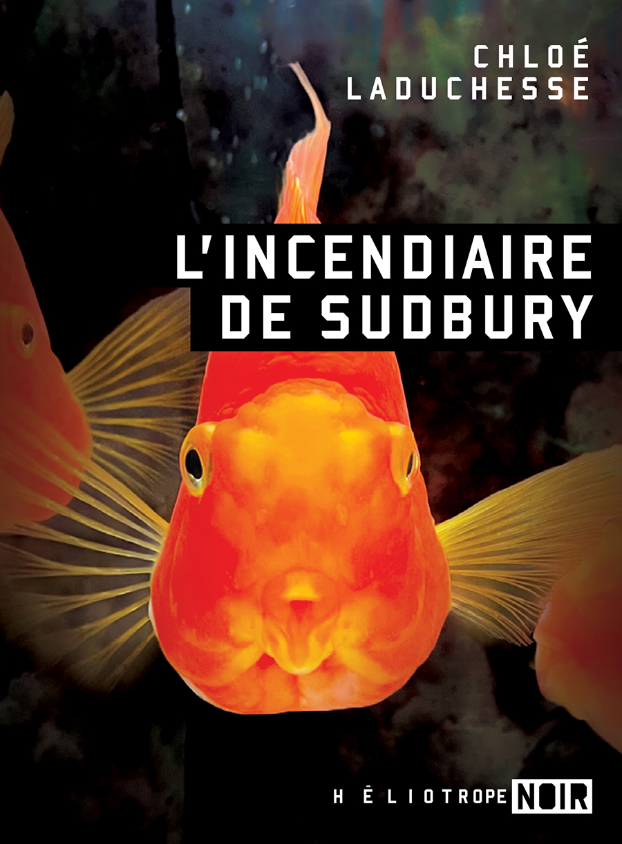 L'incendiaire de Sudbury book cover