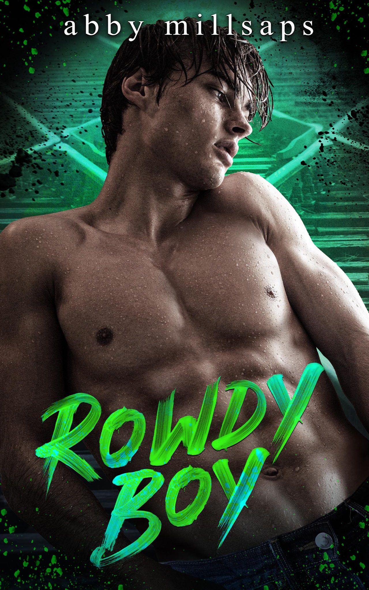Rowdy Boy book cover