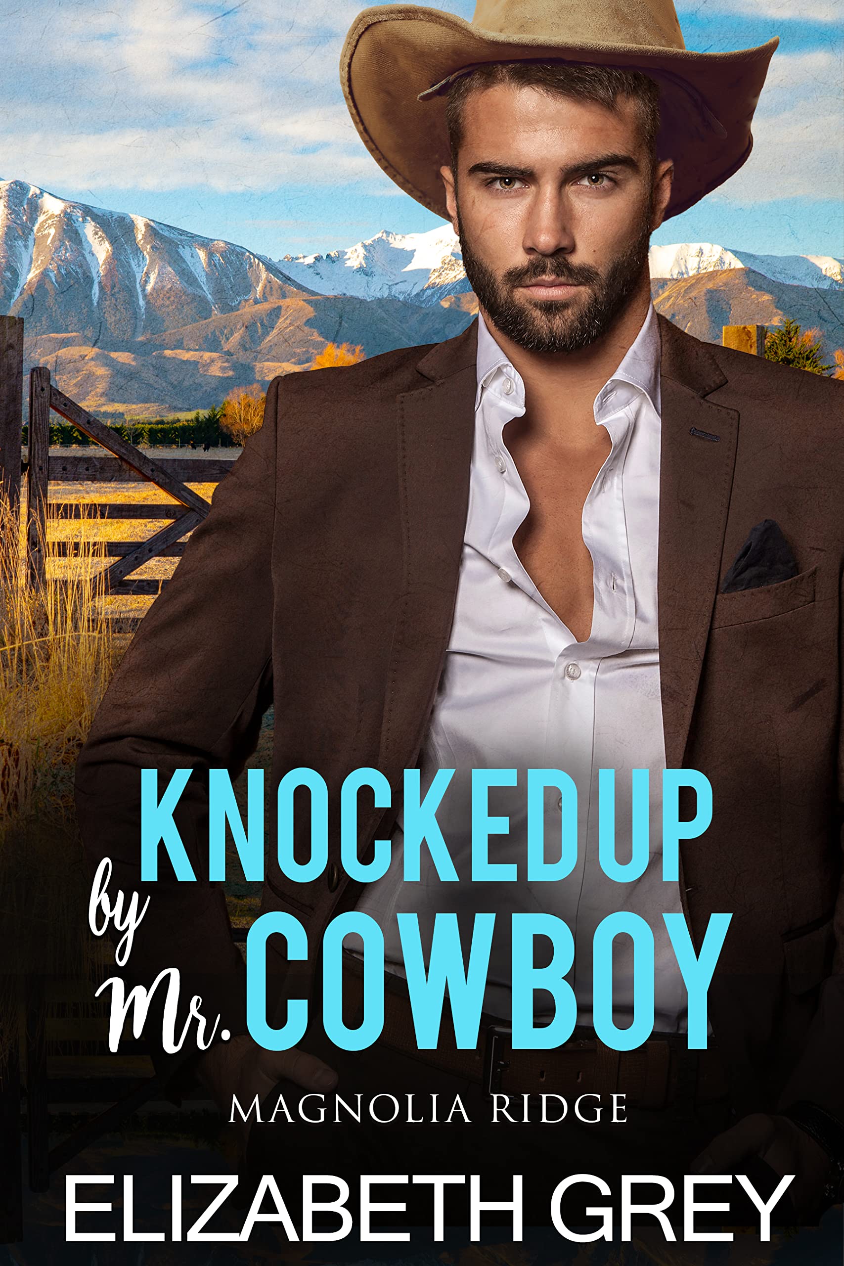 Knocked Up By Mr. Cowboy