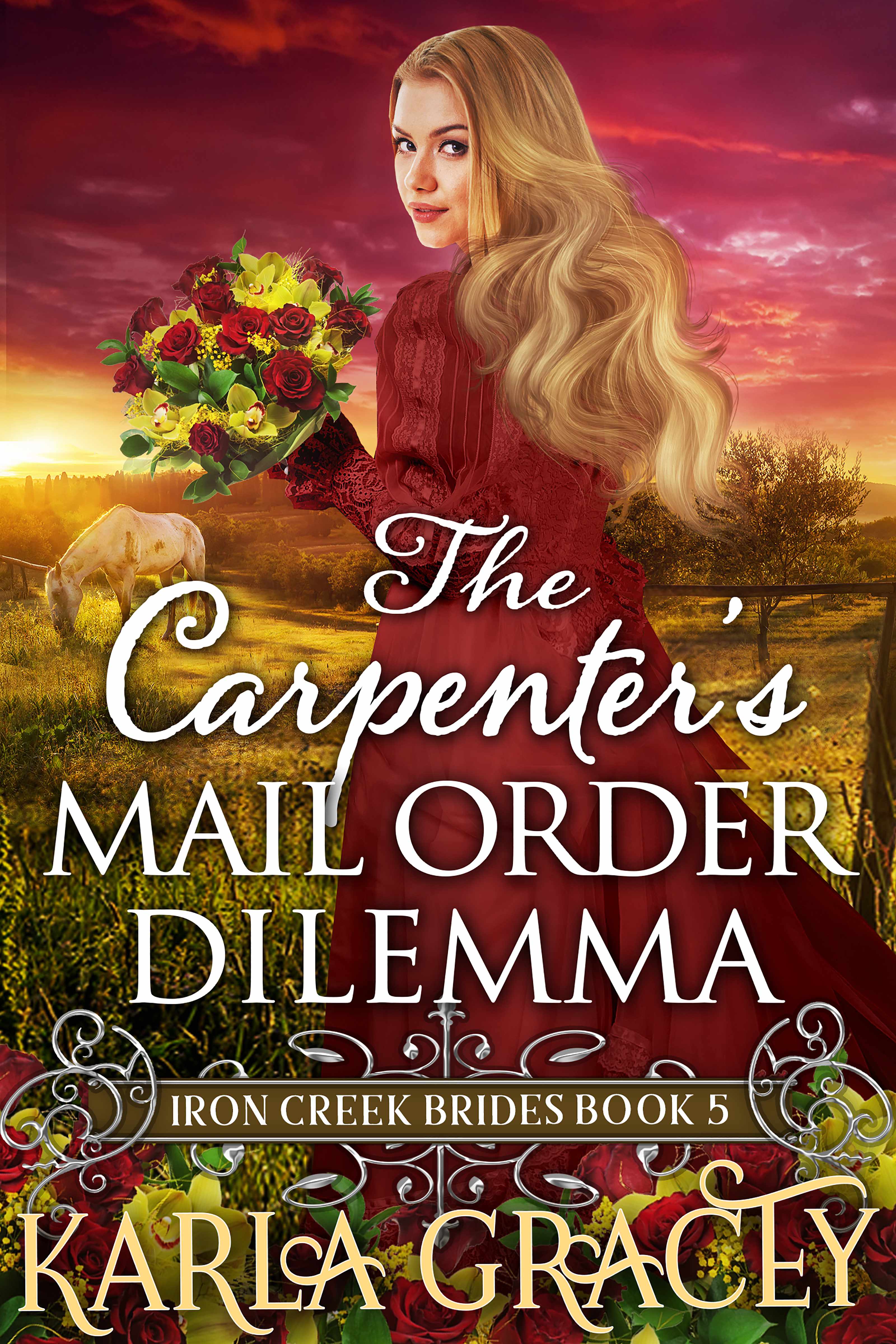 The Carpenter's Mail Order Dilemma book cover