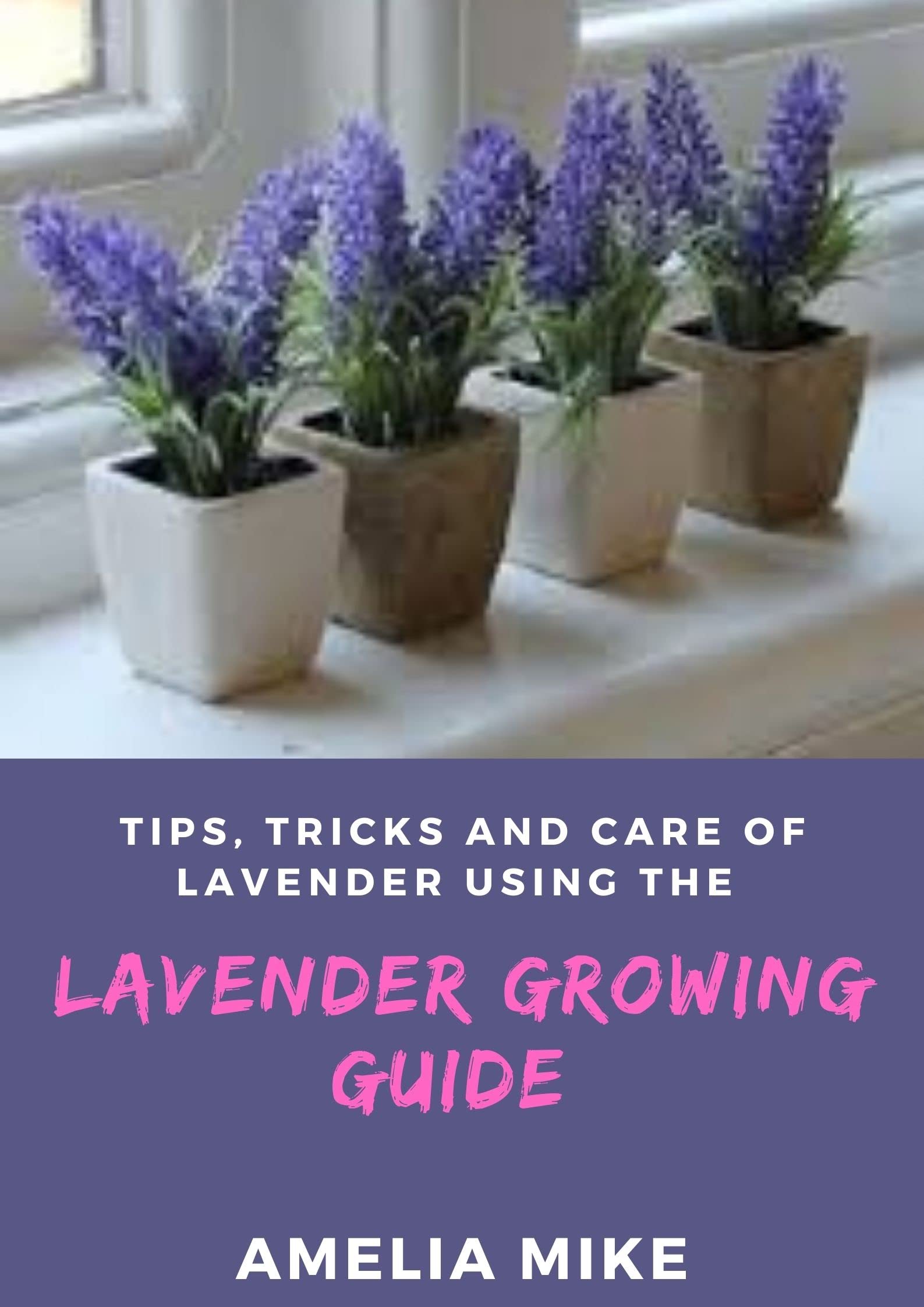 Tips, Tricks And Care Of Lavender Using The Lavender Growing Guide