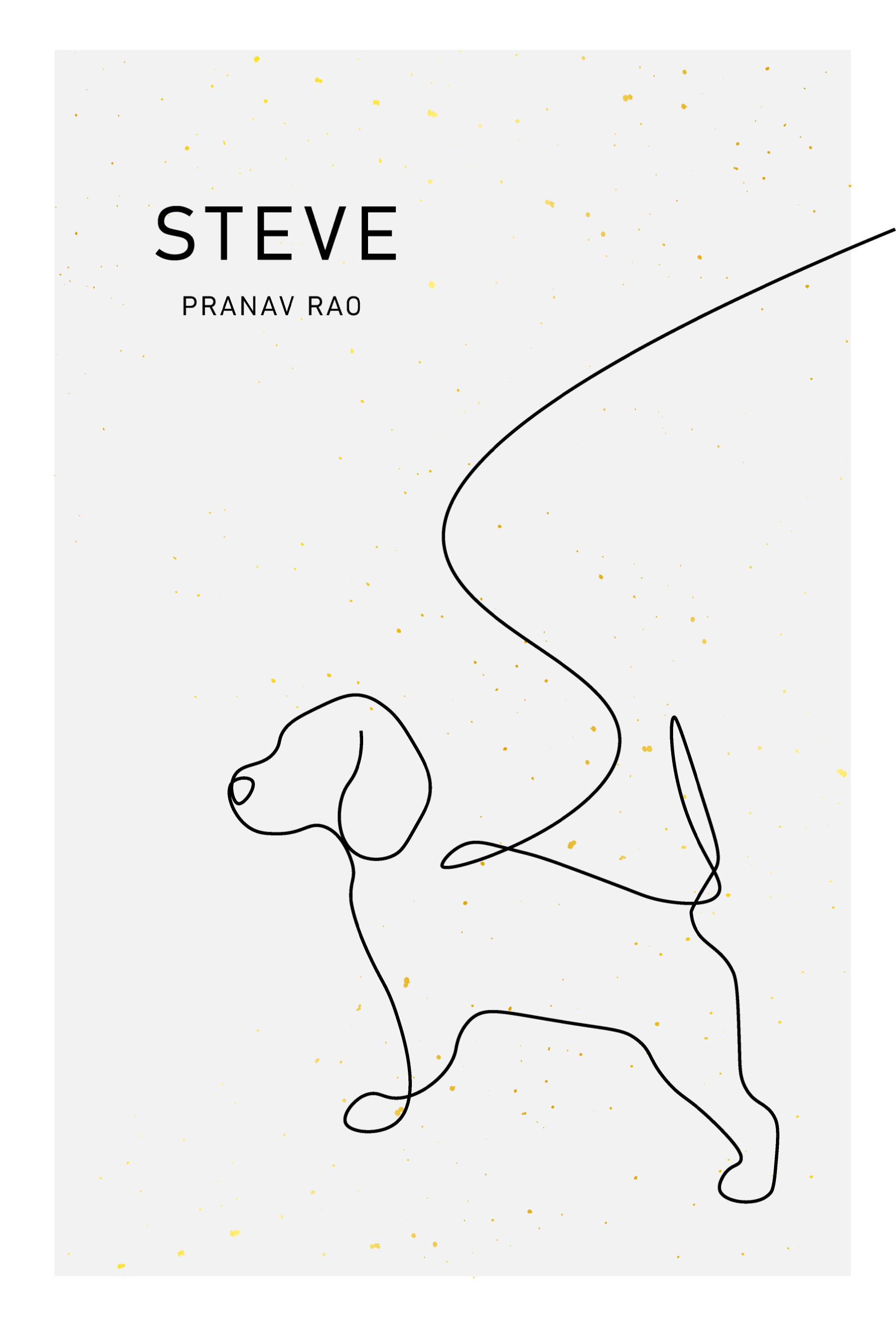 Steve