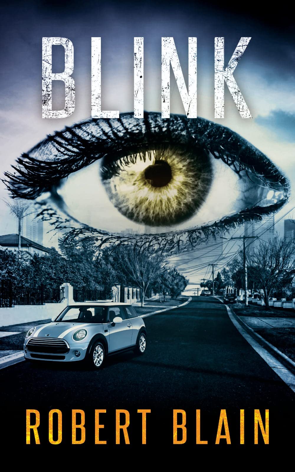 Blink: Book 2