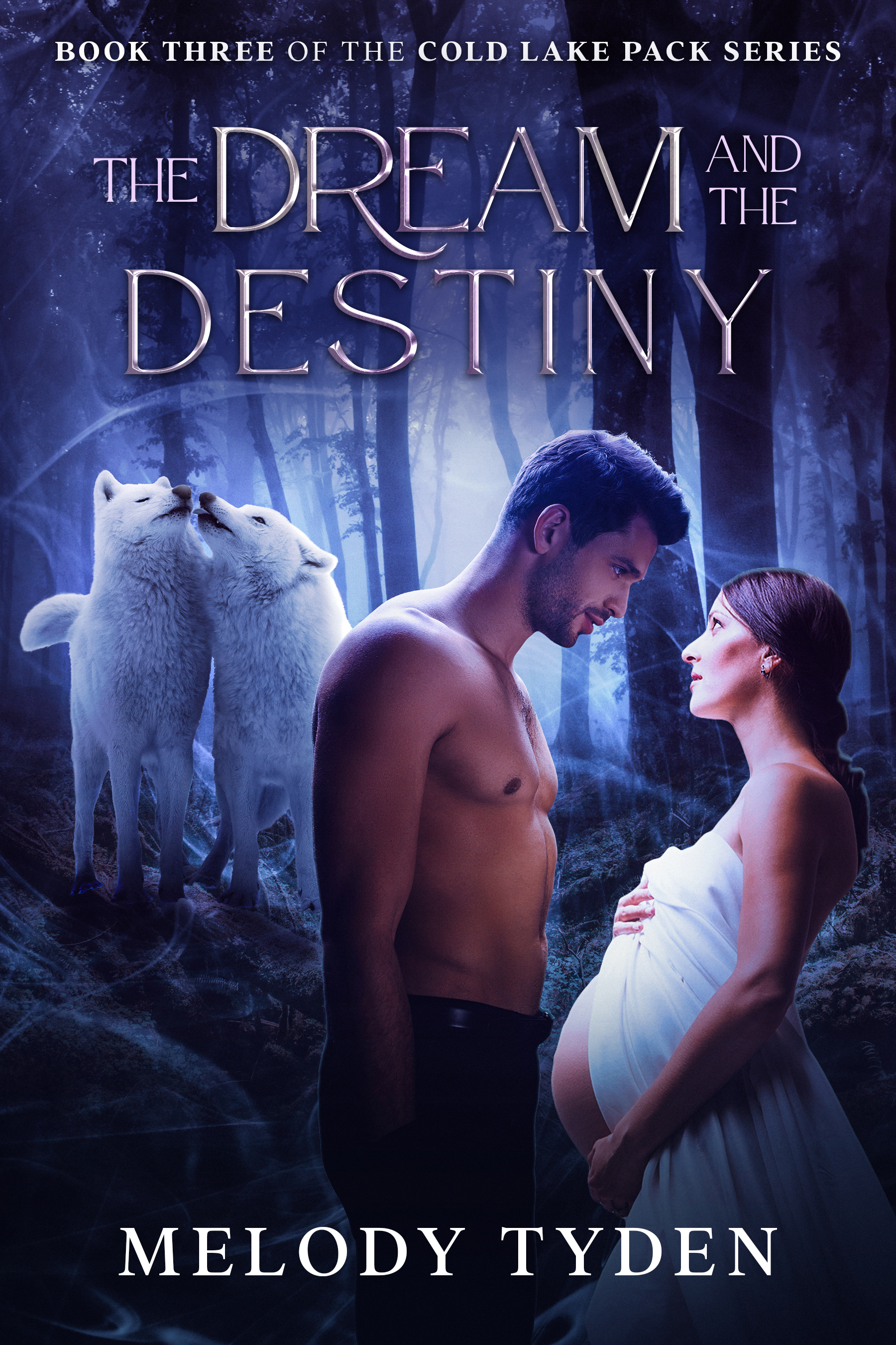 The Dream and the Destiny book cover
