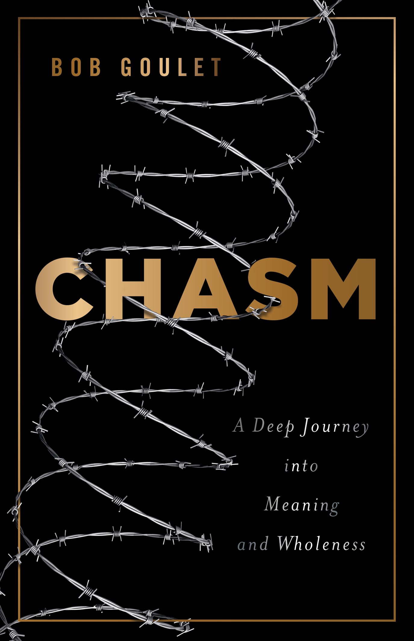 Chasm A Deep Journey into Meaning and Wholeness by Bob Goulet Goodreads