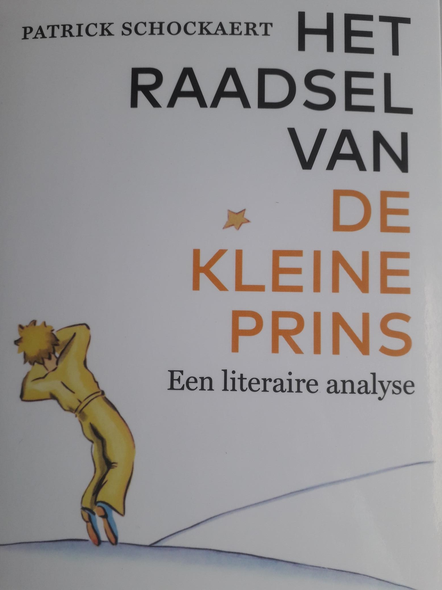 Het raadsel van de kleine prins