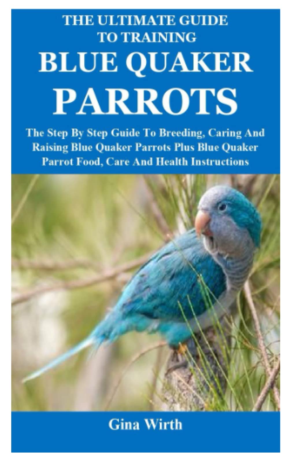 The Ultimate Guide To Training Blue Quaker Parrots The Step By Step