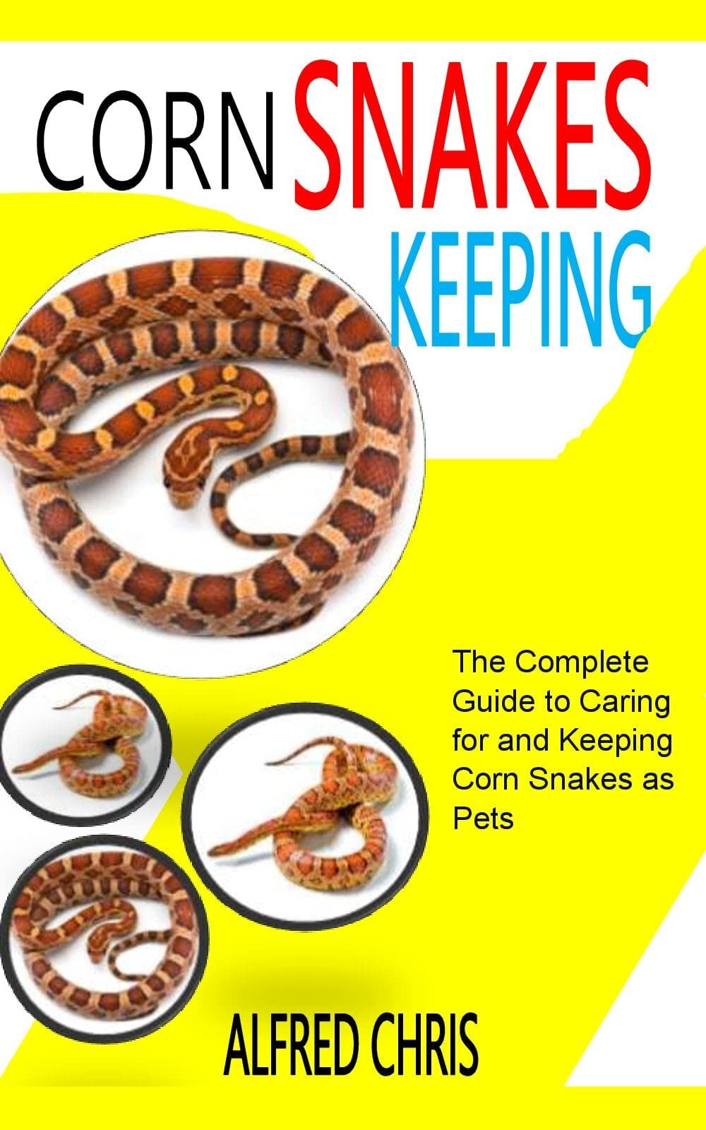 CORN SNAKE KEEPING The Complete Guide to Caring for and Keeping Corn