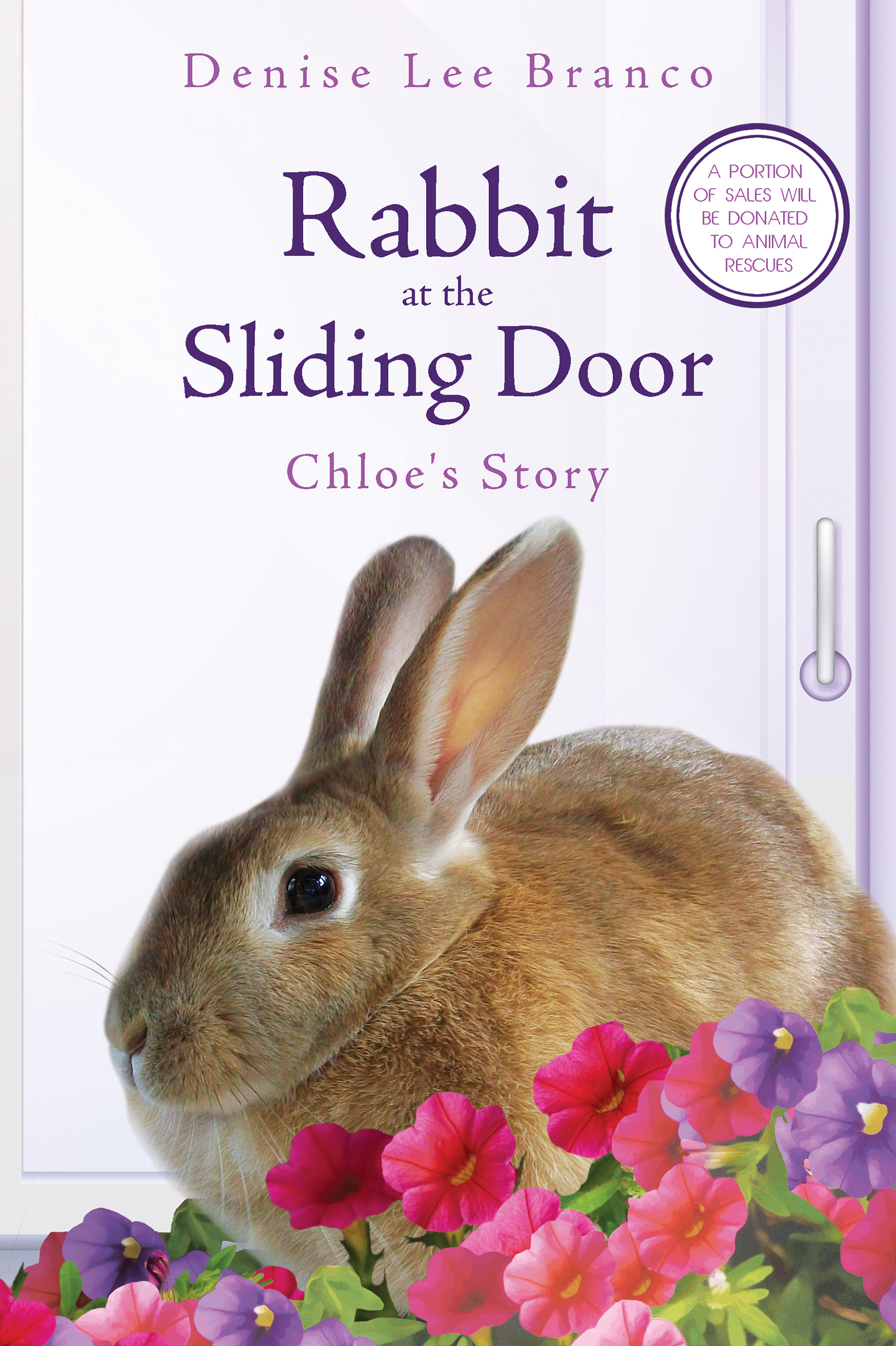 Chloe Rabbit Book Rabbit at the Sliding Door: Chloe's Story by Denise Lee Branco | Goodreads