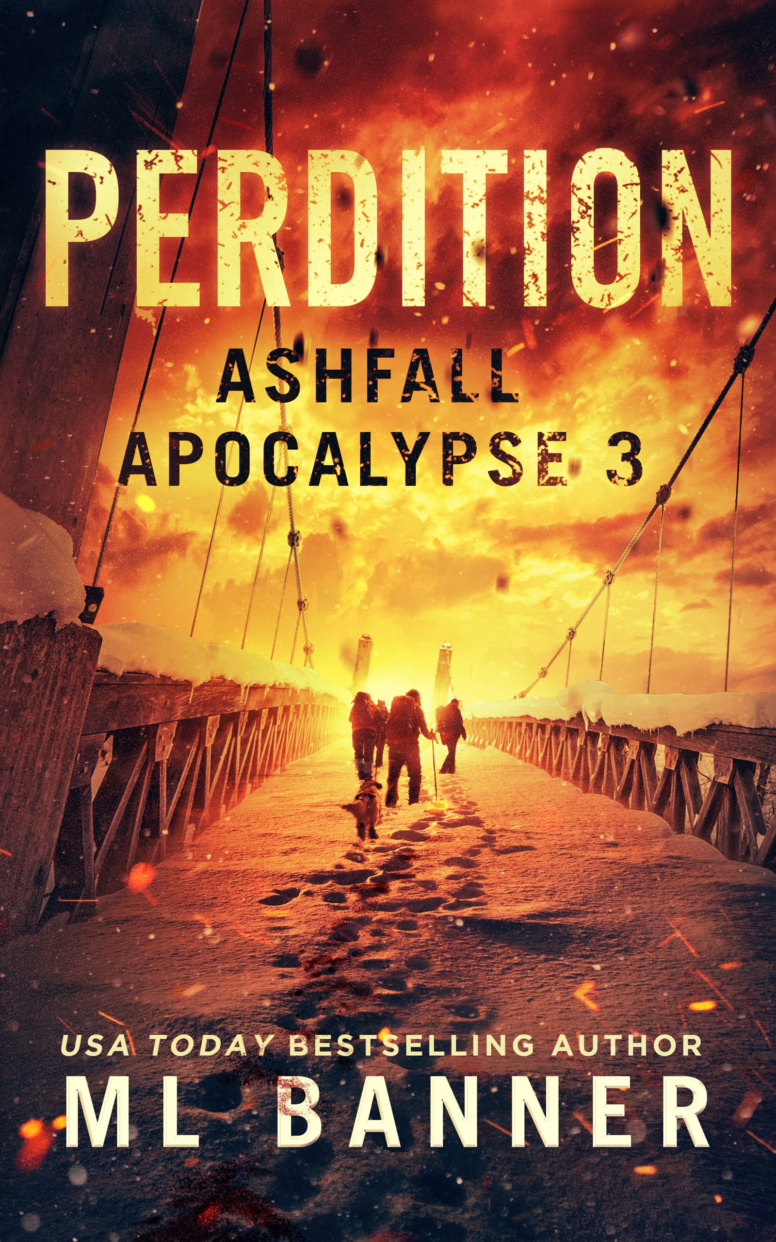 Perdition book cover