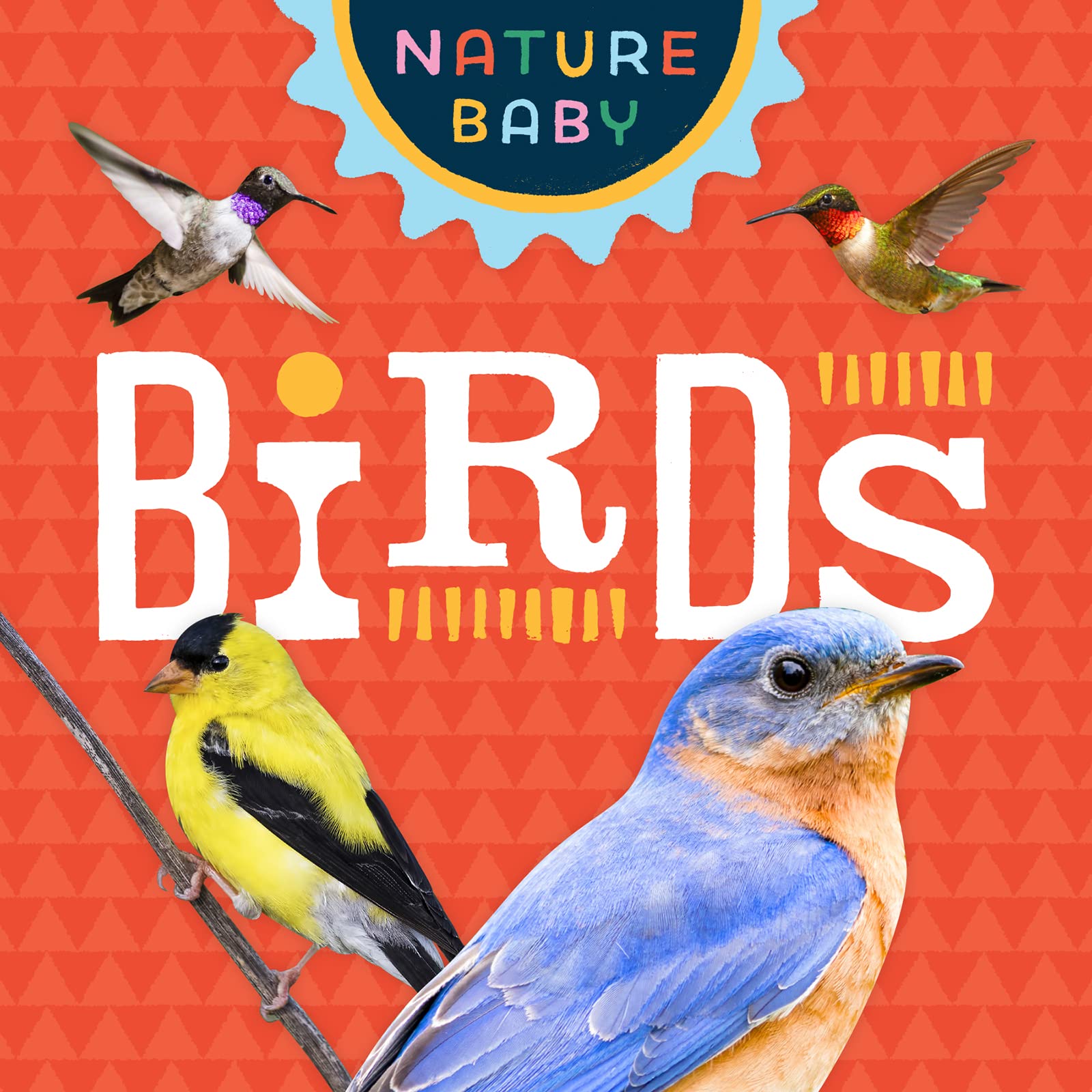 Nature Baby Birds By Adventure Publications Goodreads nature-baby-birds-by-adventure-publications-goodreads