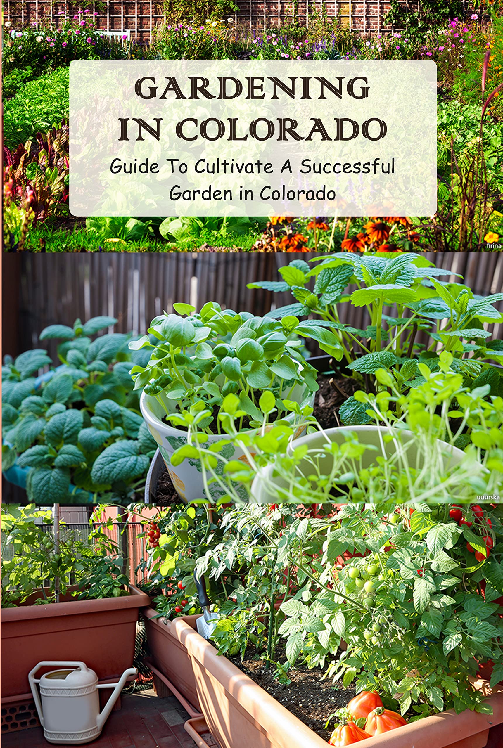 Gardening in Colorado: Guide To Cultivate A Successful Garden in ...