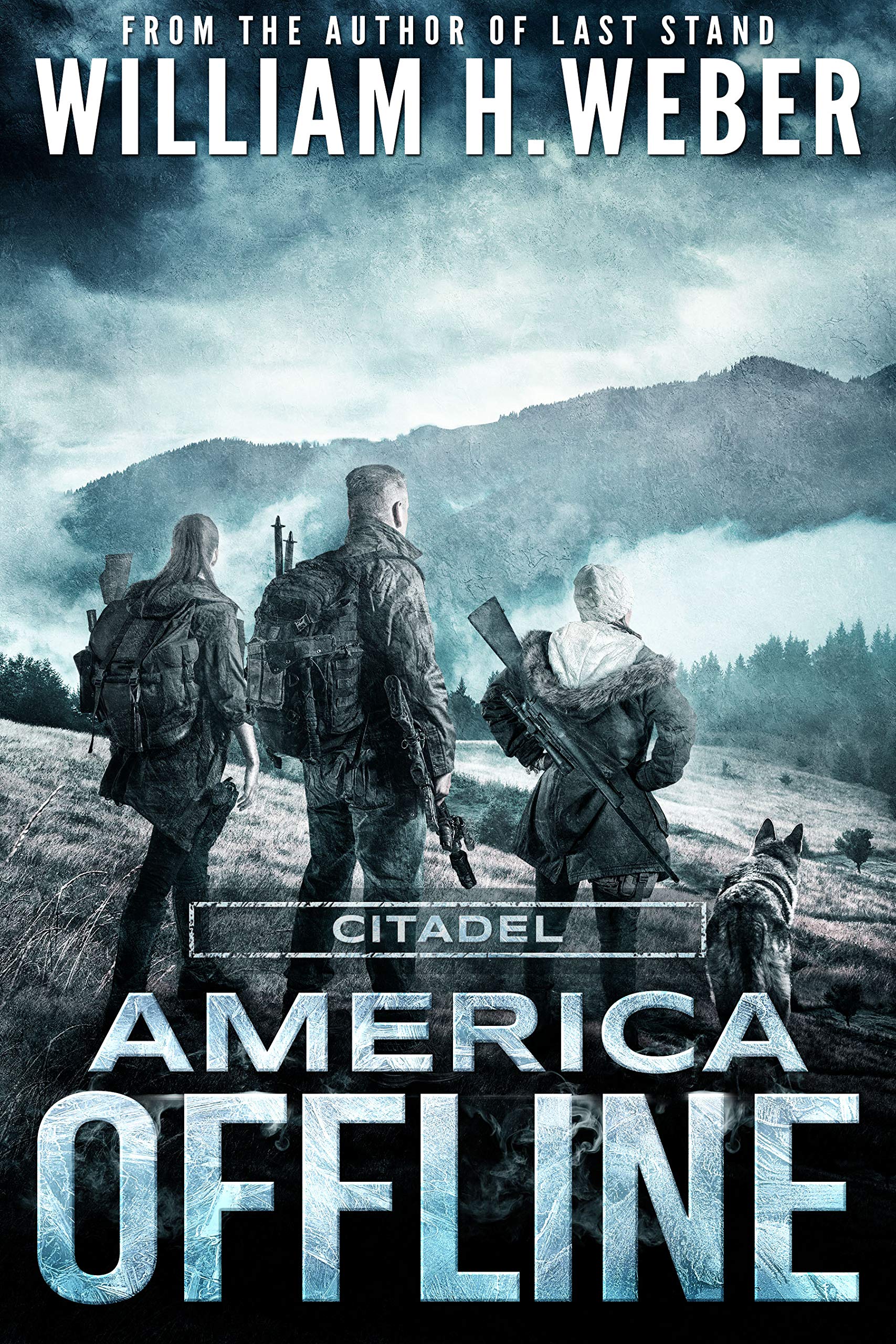 America Offline: Citadel (A Post-Apocalyptic Survival Series)