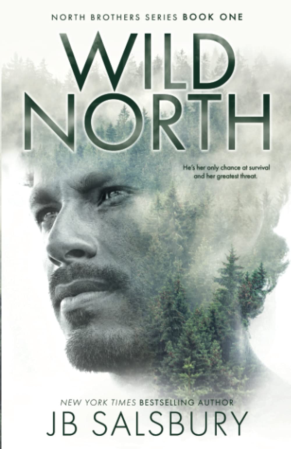 Wild North (The North Brothers)