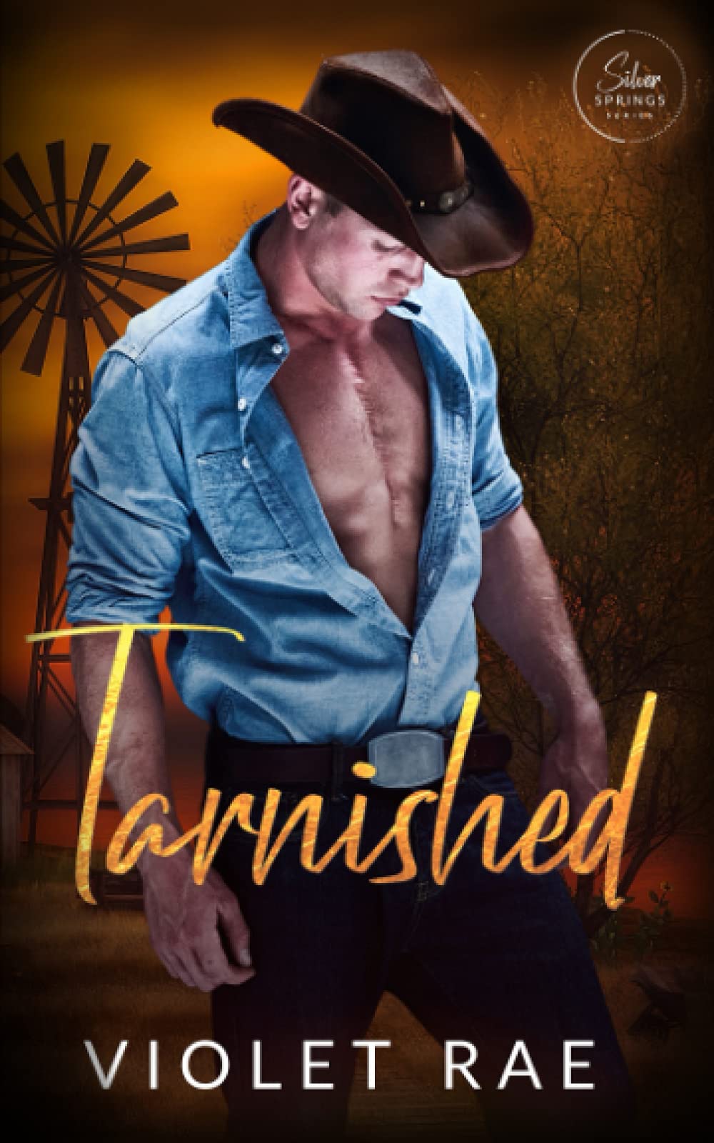 Violet Rae Cohen Tarnished (Silver Springs #1) by Violet Rae | Goodreads