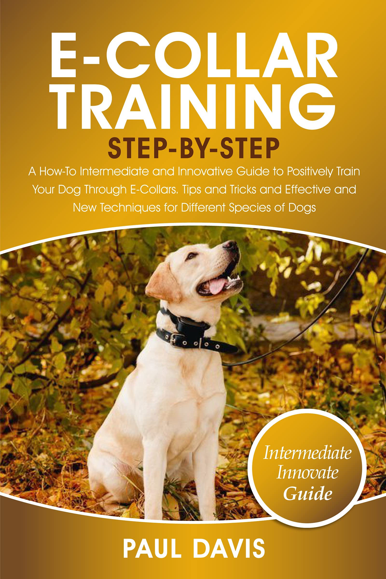 E-Collar Training Step-By-Step: A How-To Intermediate and Innovative ... - E-Collar Training For Obedience Commands