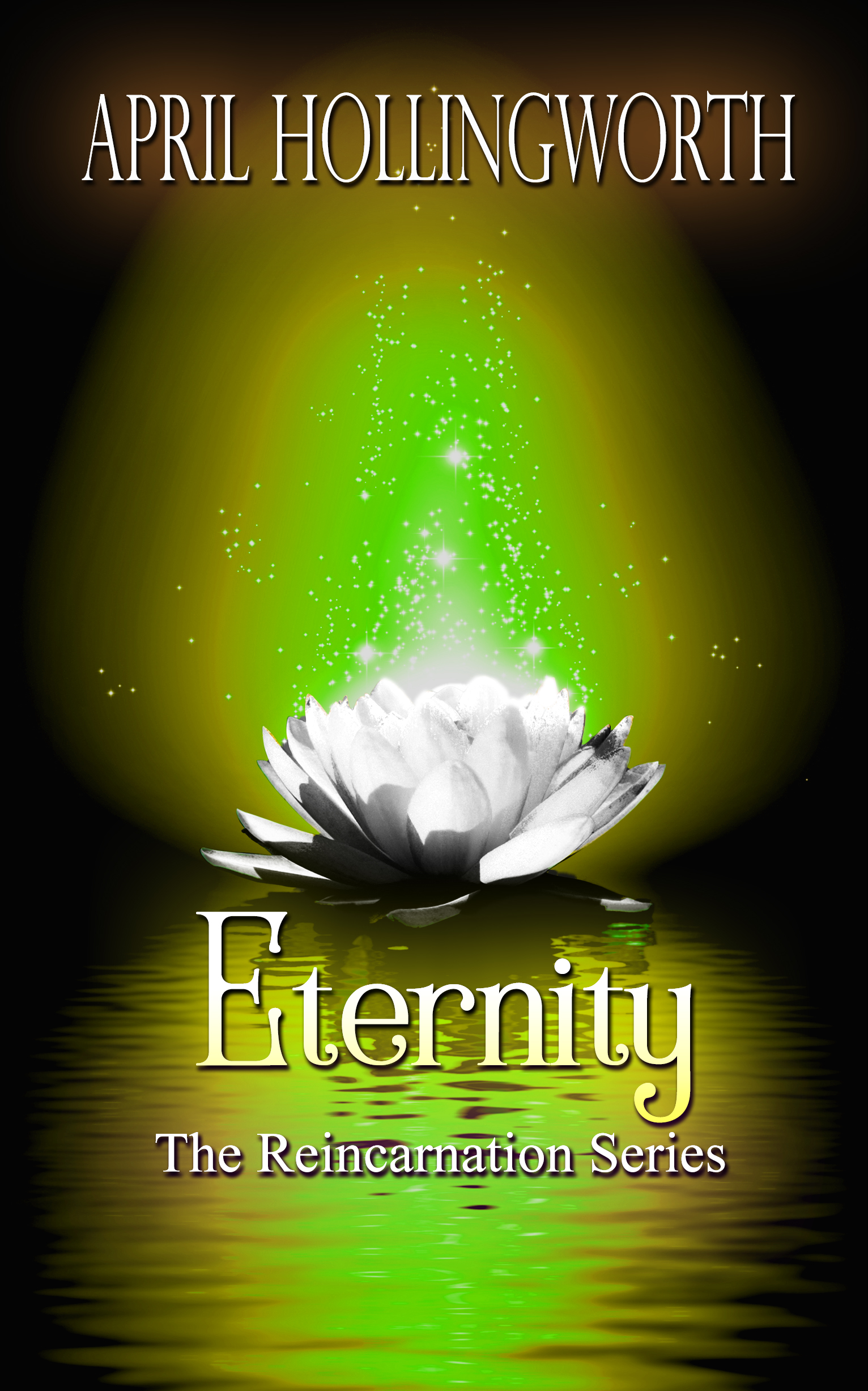 The Reincarnation book cover 3