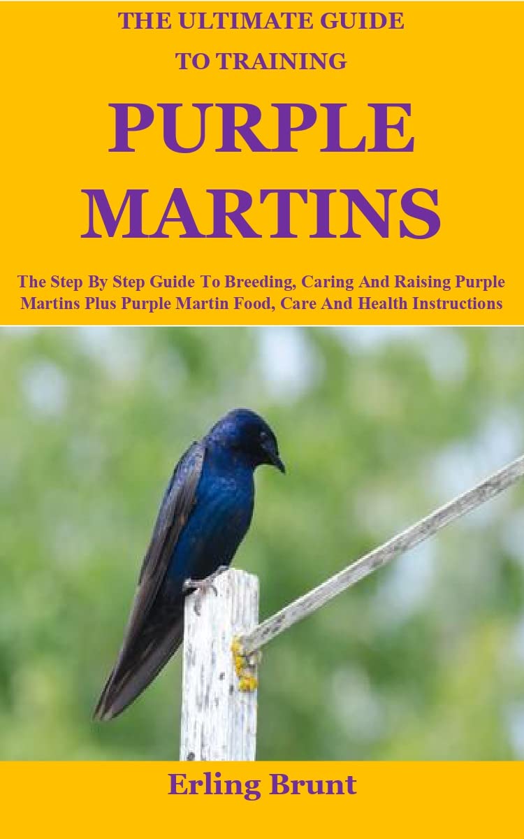 The Ultimate Guide To Training Purple Martins The Step By Step Guide