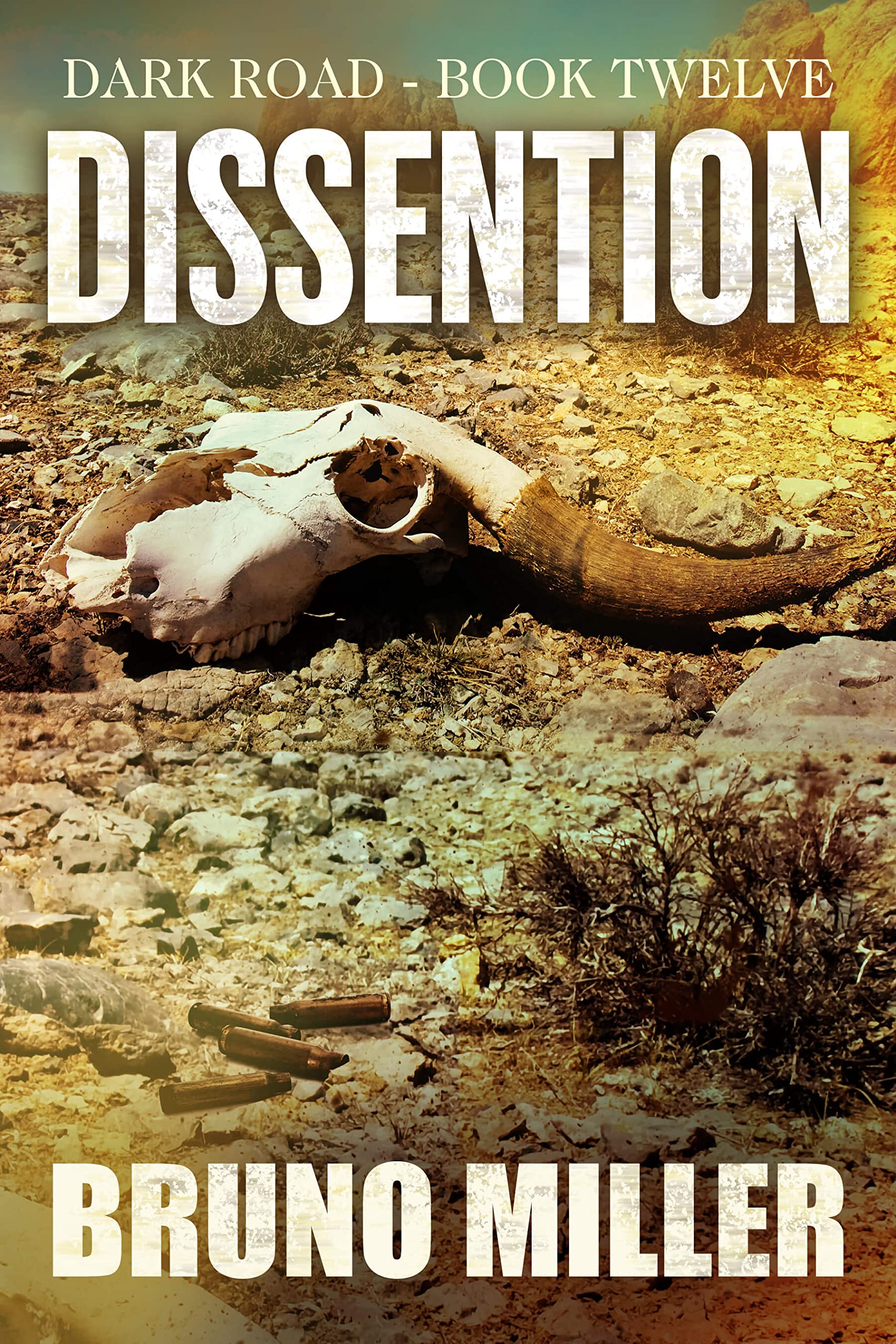 Dissention book cover