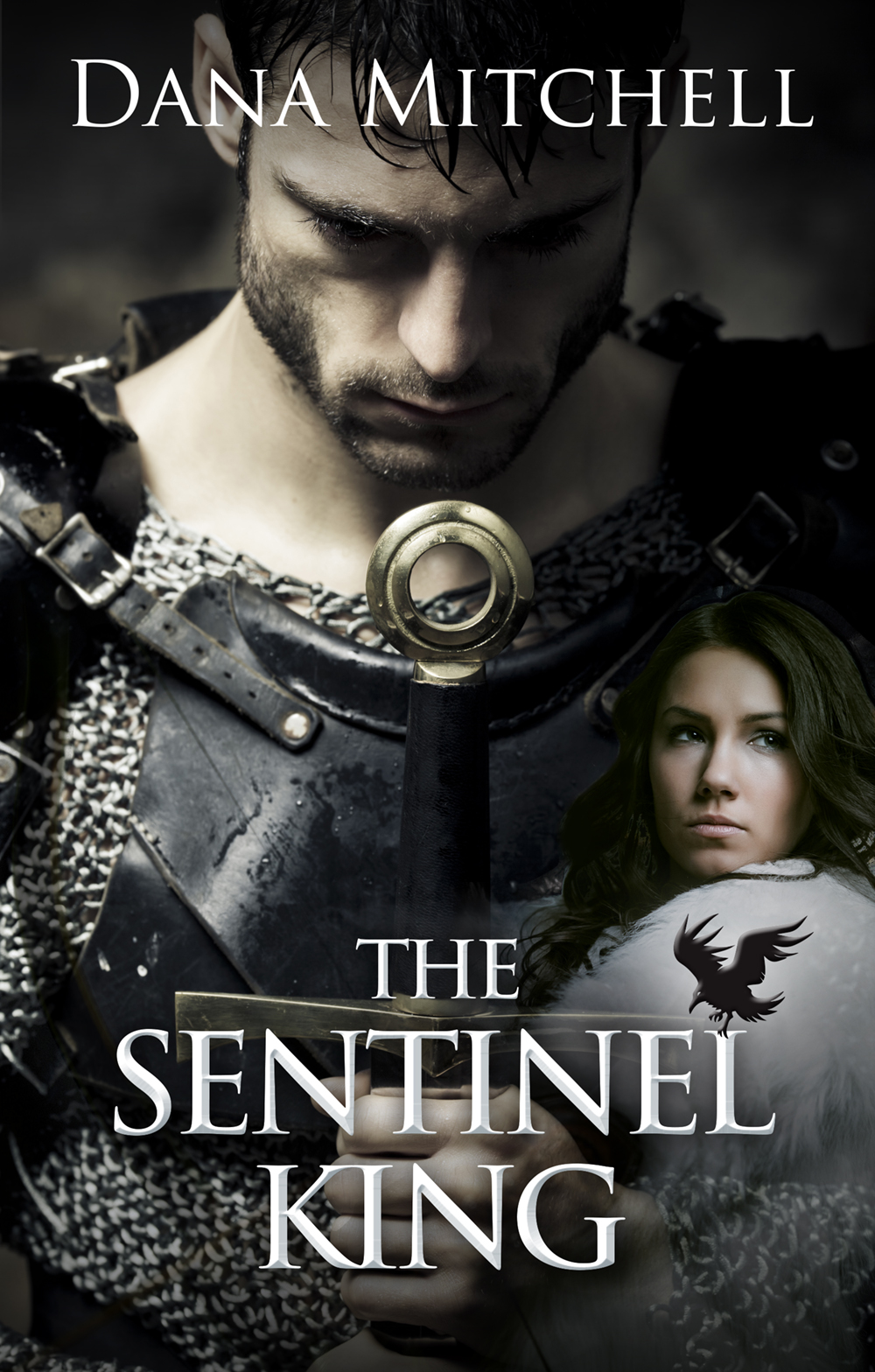 The SENTINEL KING by Dana Mitchell | Goodreads