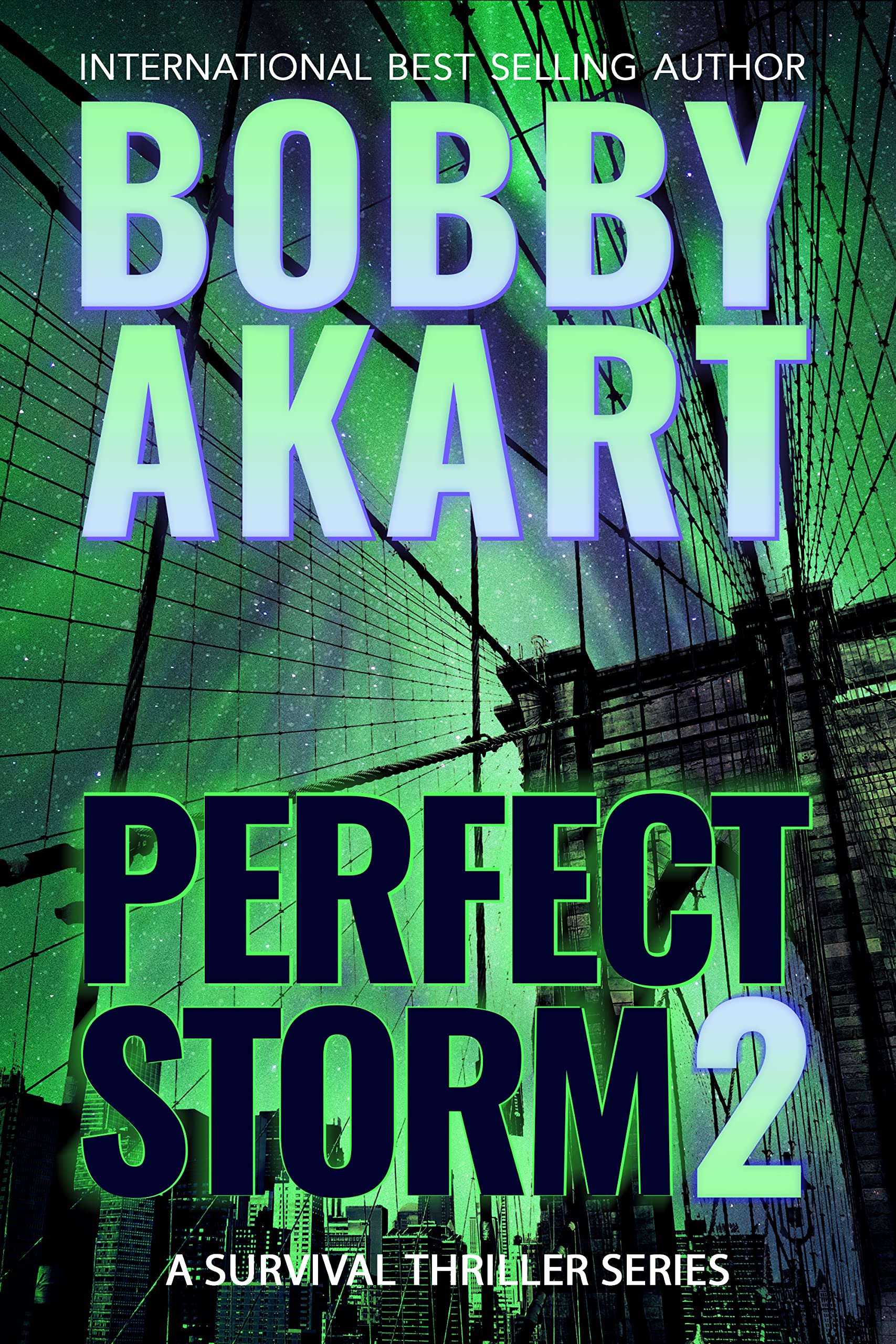 Perfect Storm book cover 2