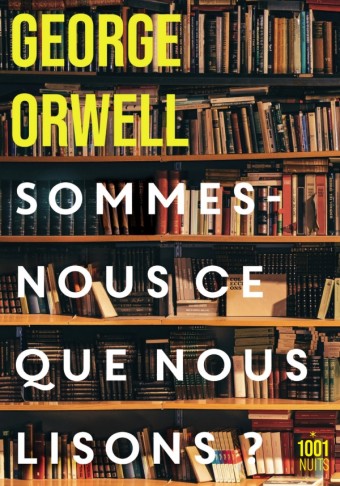 Sommes-nous ce que nous lisons ? book cover
