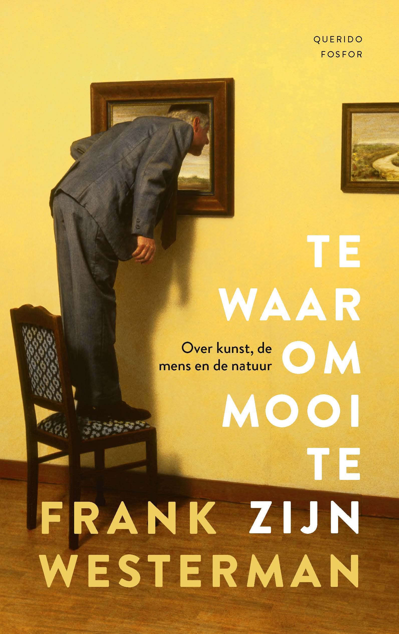 Te waar om mooi te zijn book cover