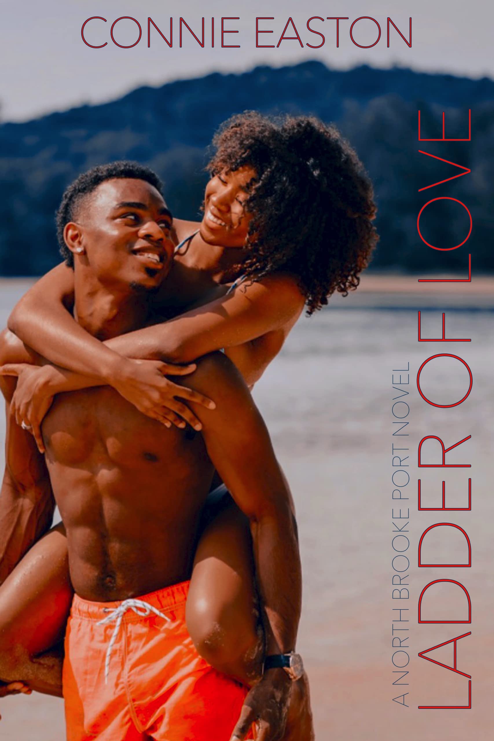 Ladder of Love book cover