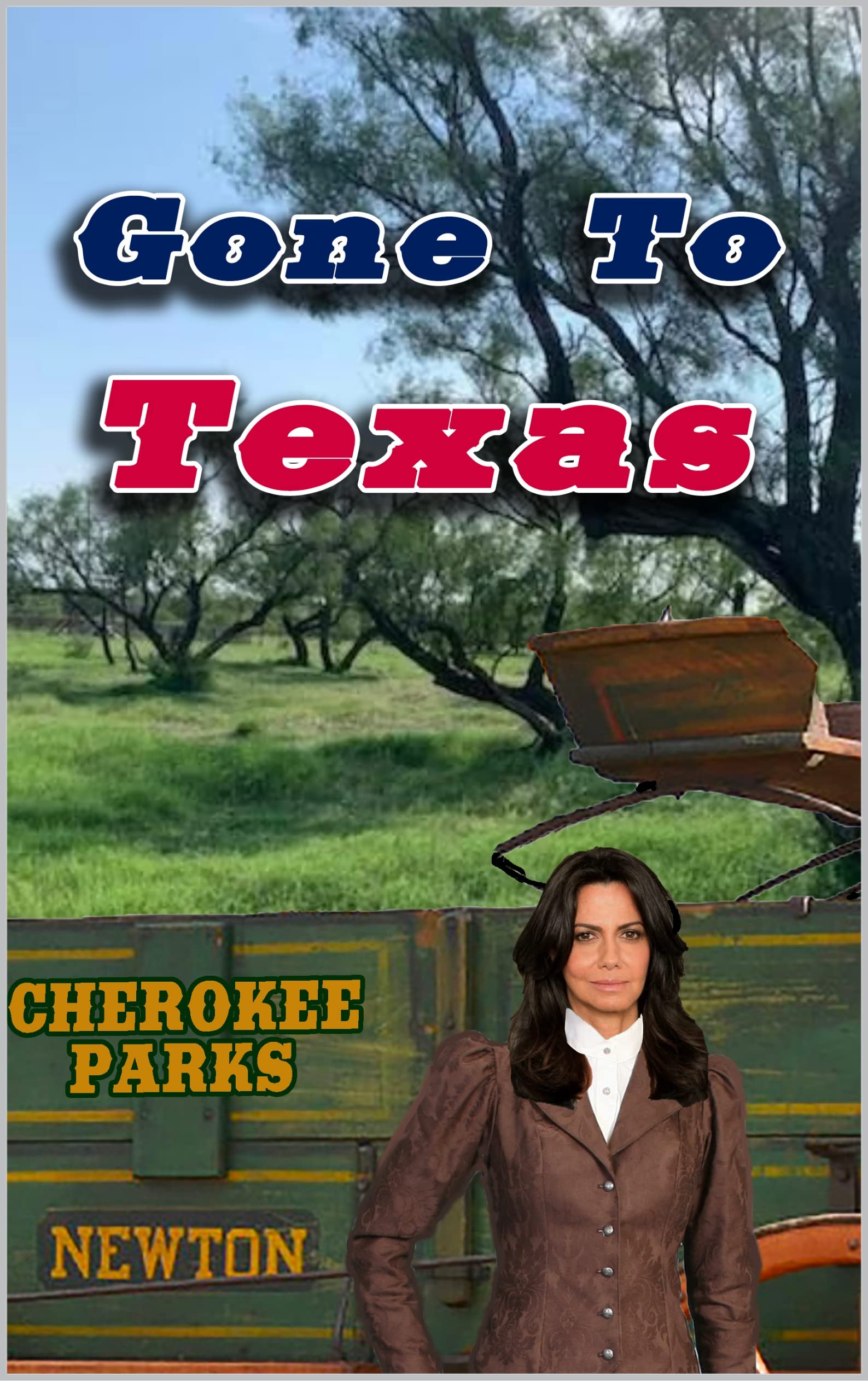 Gone To Texas book cover
