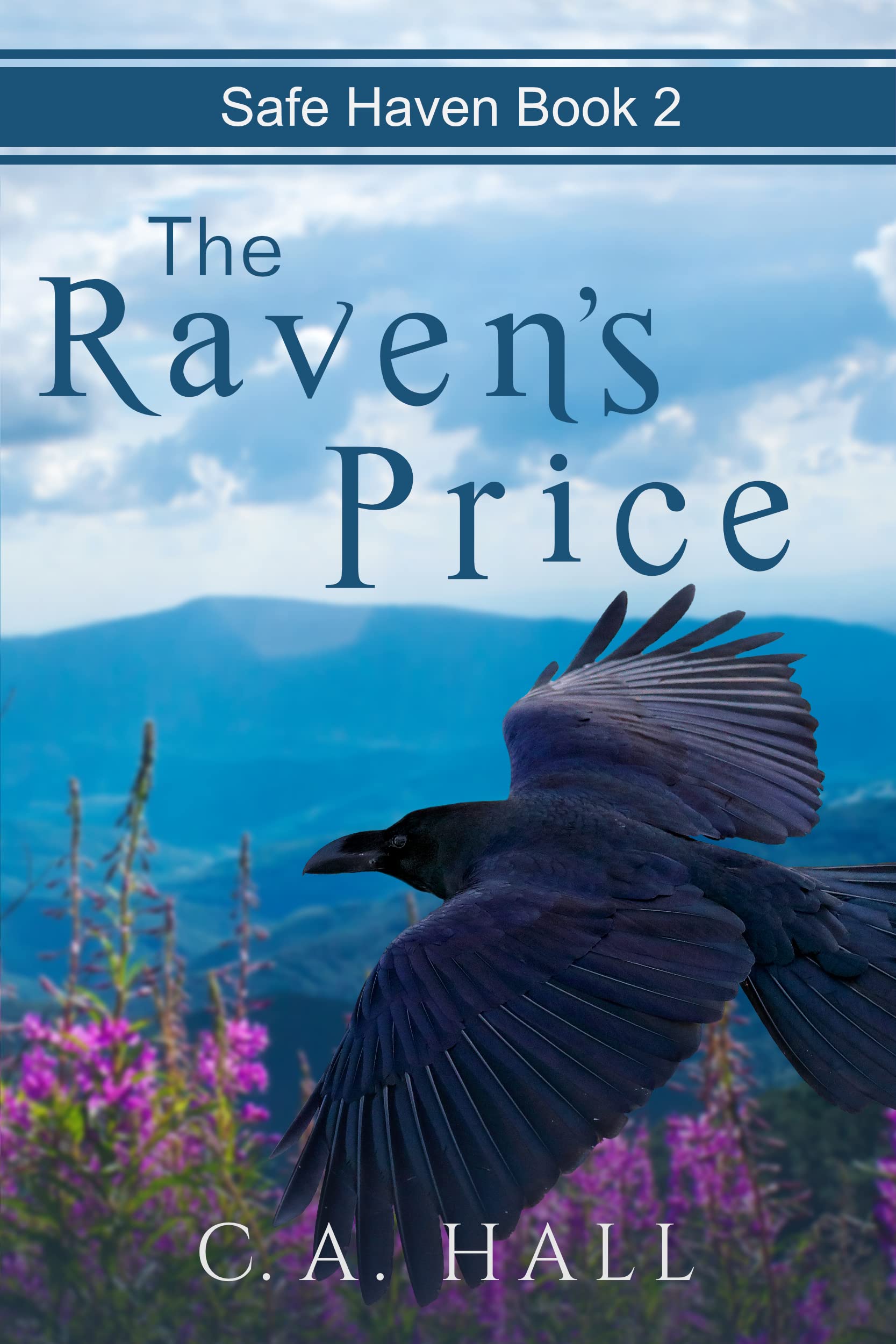 The Raven's Price