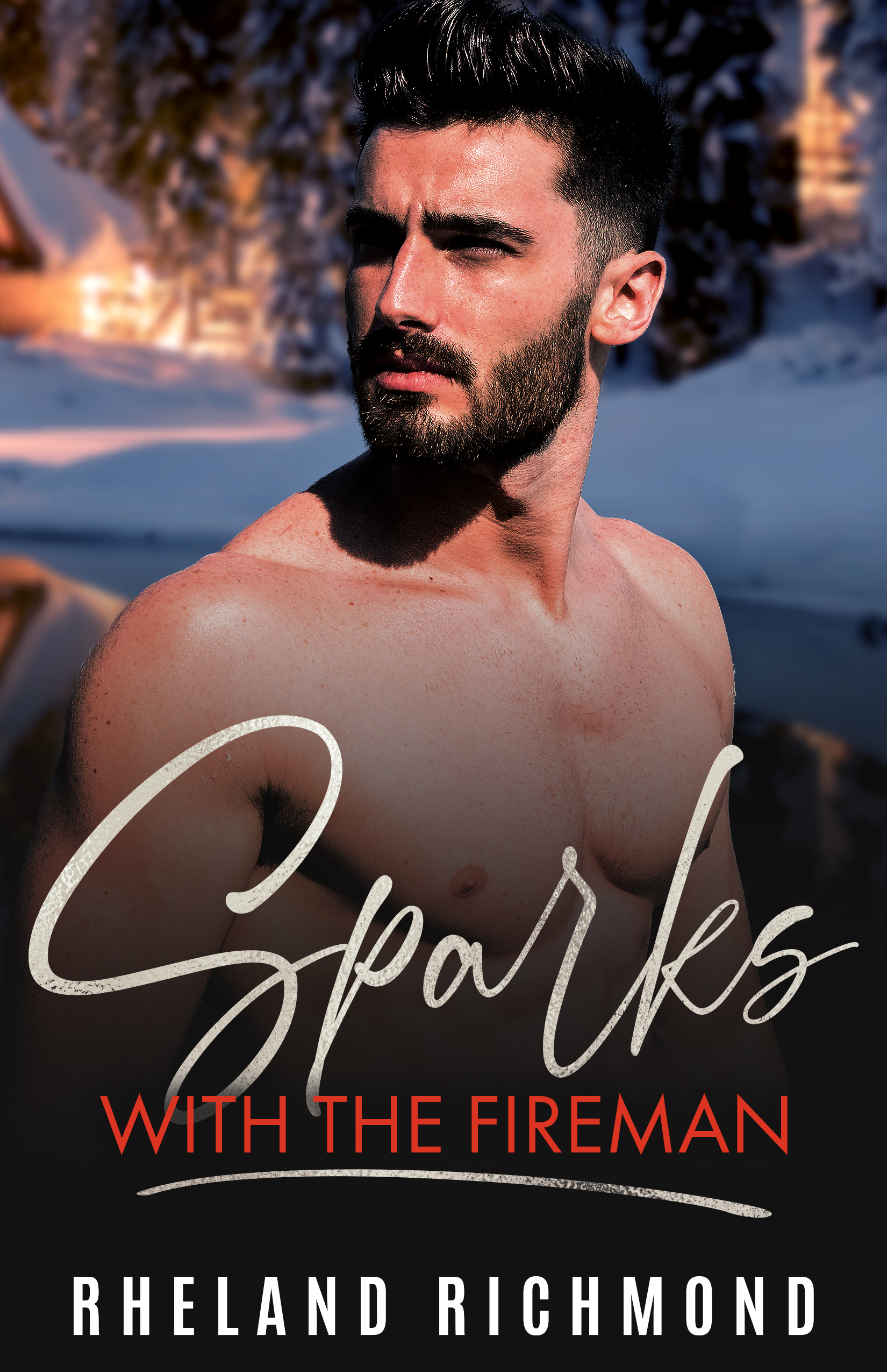 Sparks With the Fireman book cover
