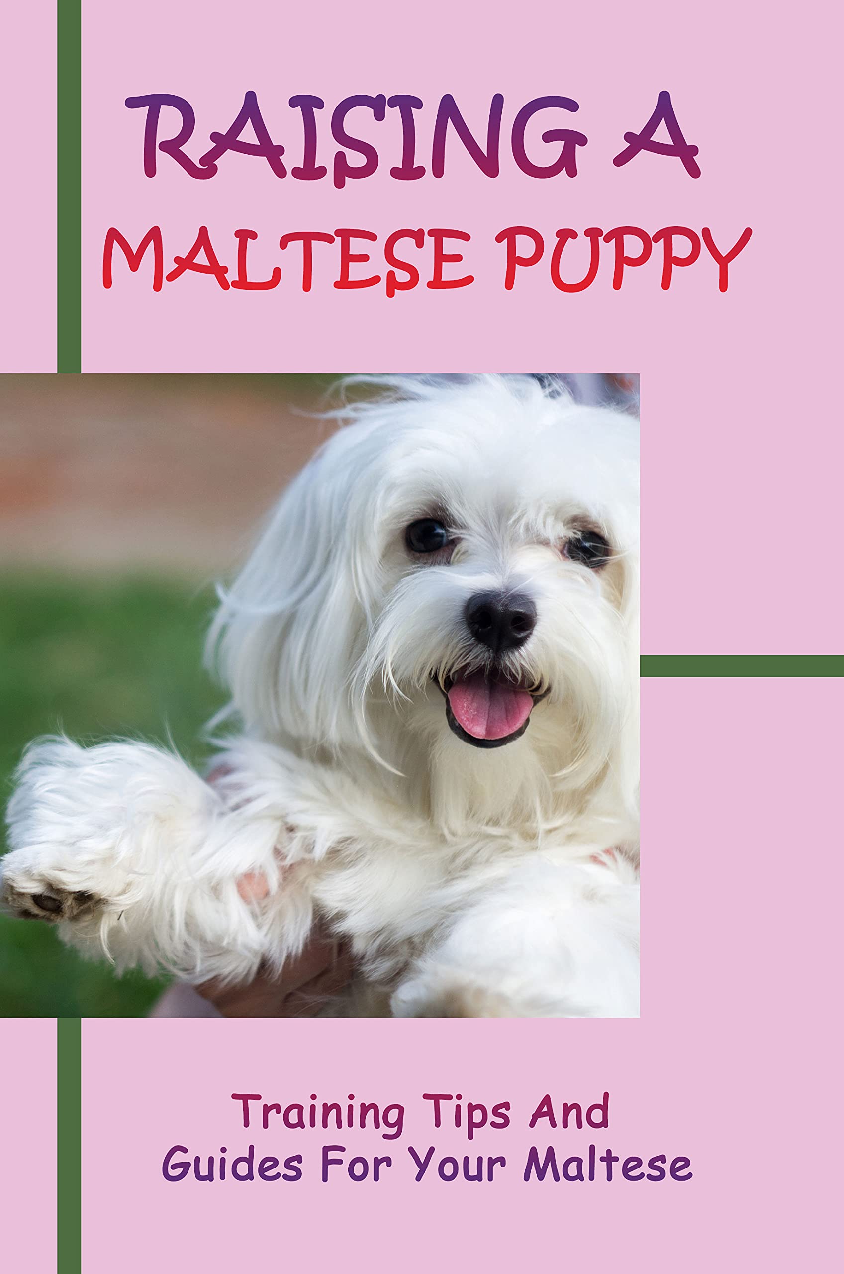 Raising A Maltese Puppy Training Tips And Guides For Your Maltese