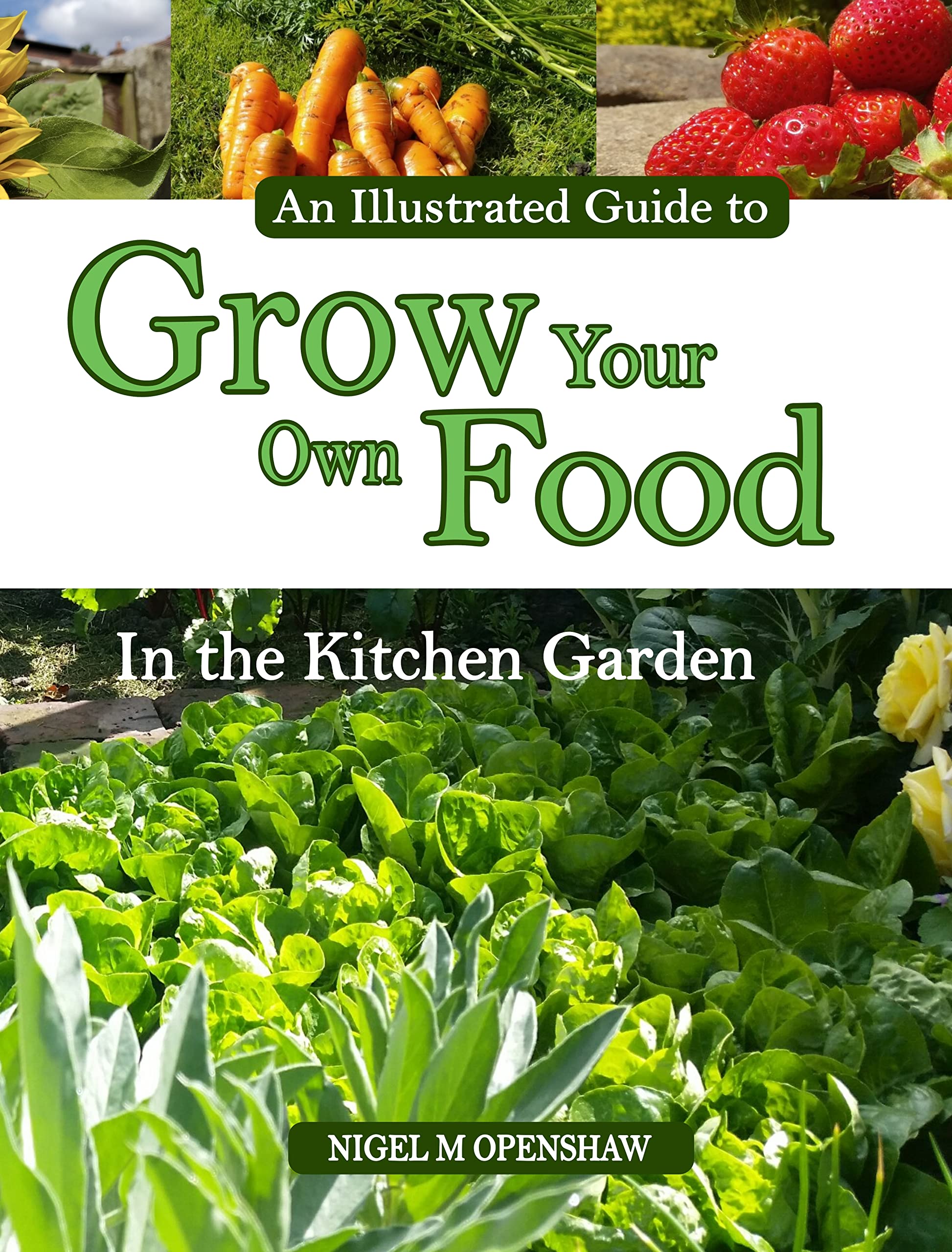 An Illustrated Guide to Grow Your Own Food in the Kitchen Garden ...