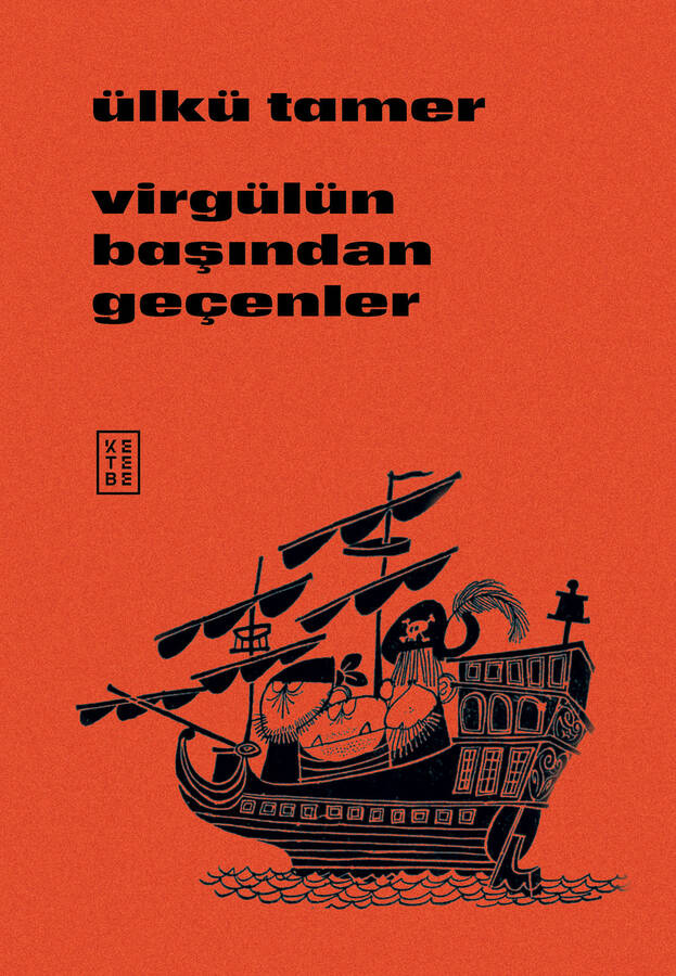 Virgülün Başından Geçenler book cover