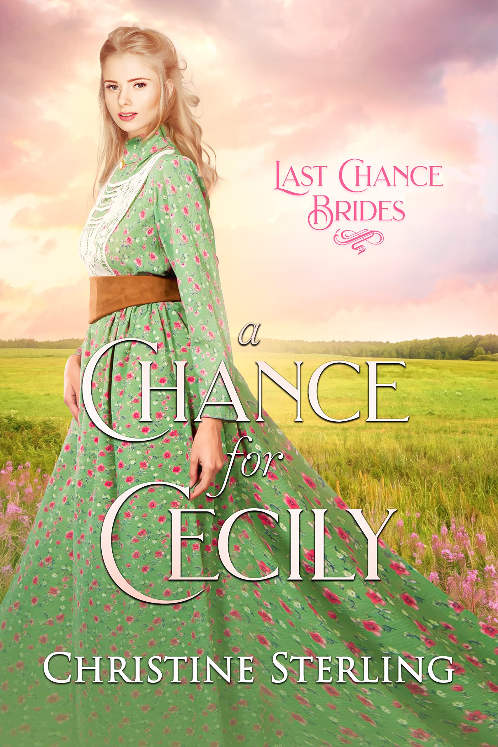Last Chance Brides book cover 1