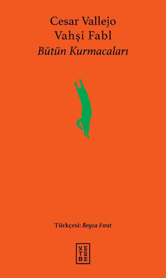 Vahşi Fabl book cover