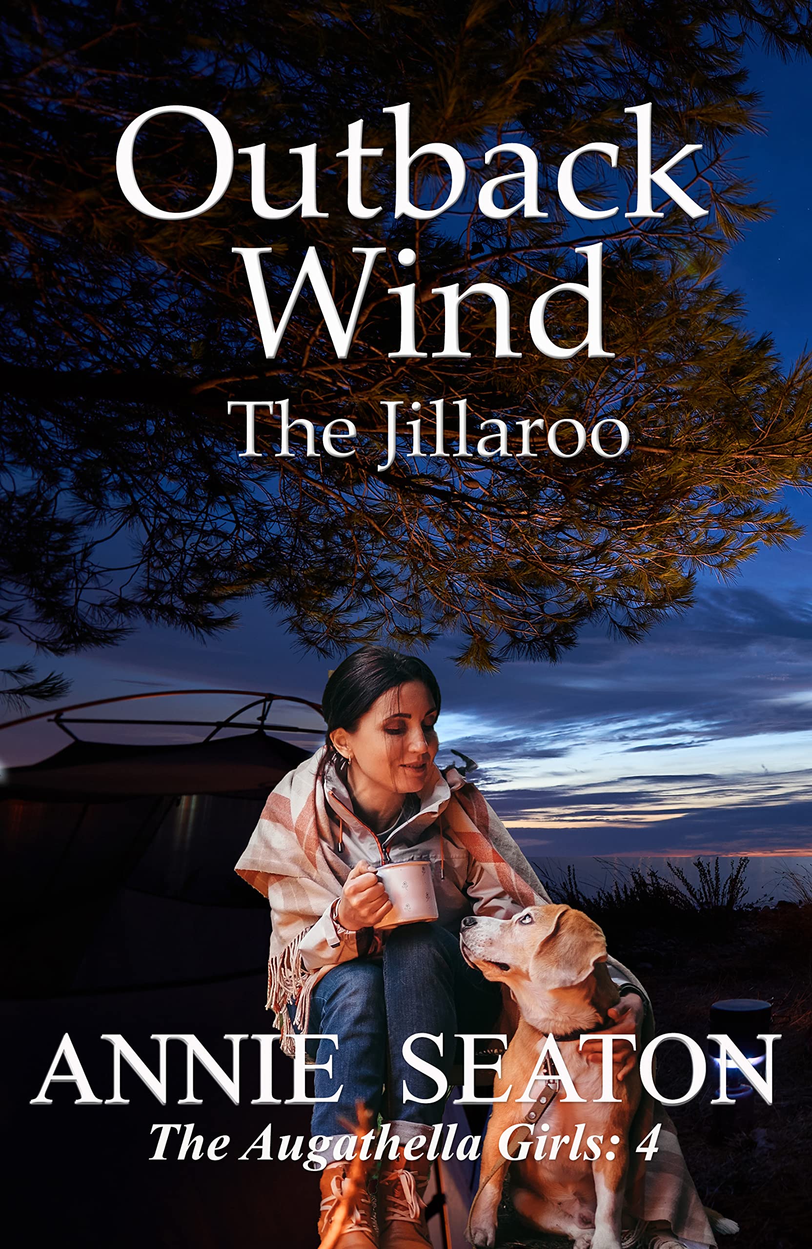 Outback Wind book cover