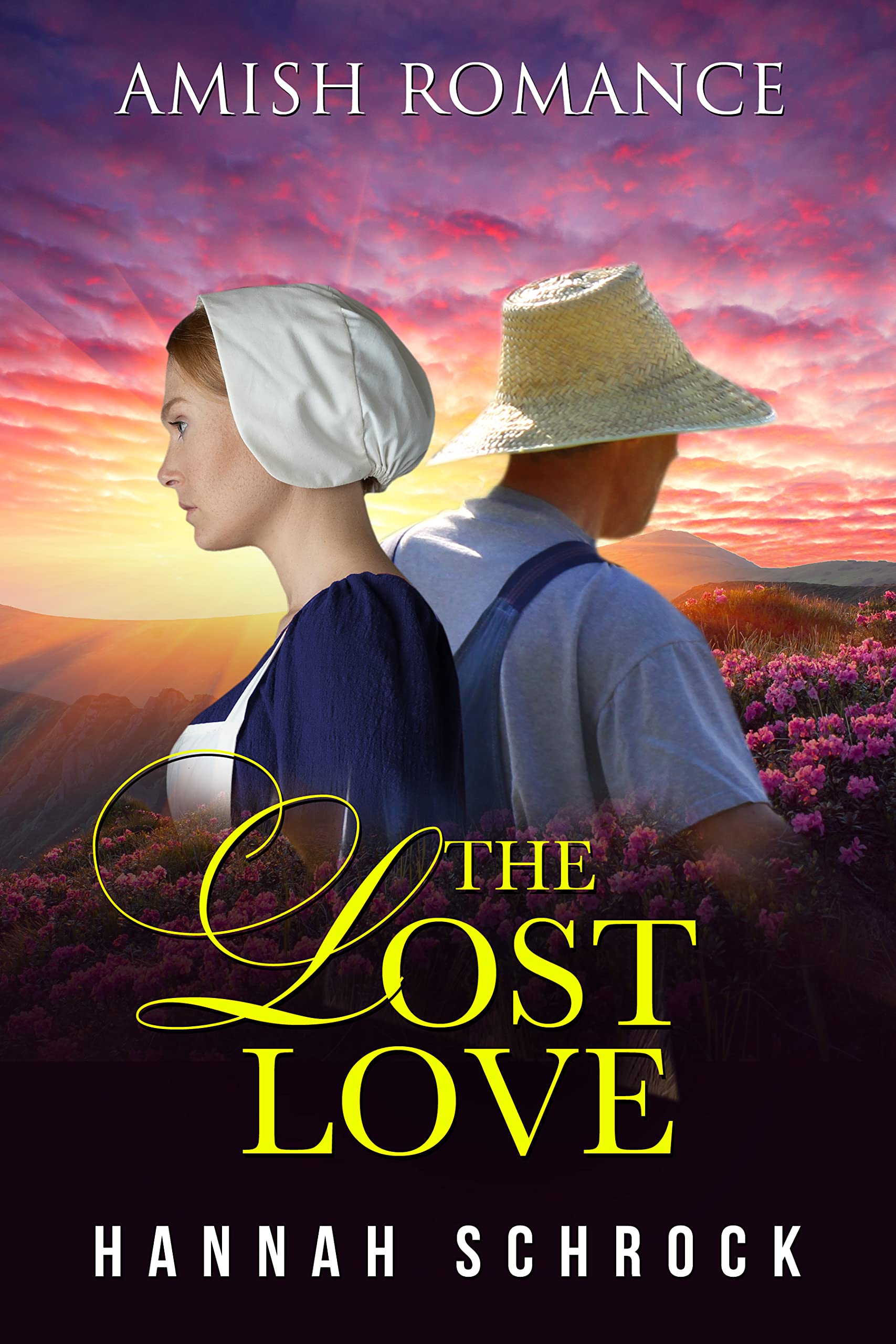 The Lost Love book cover