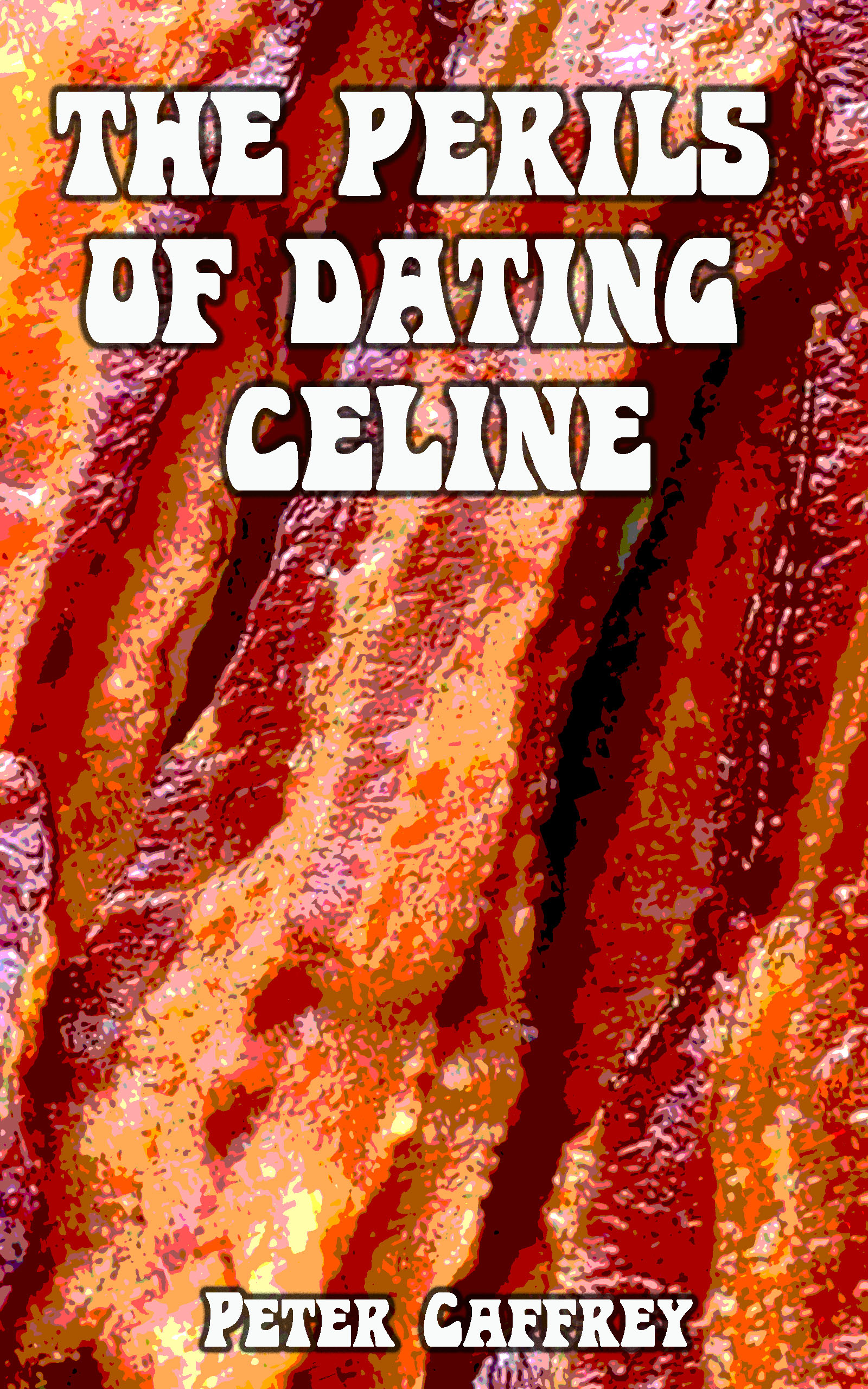 The Perils of Dating Celine book cover