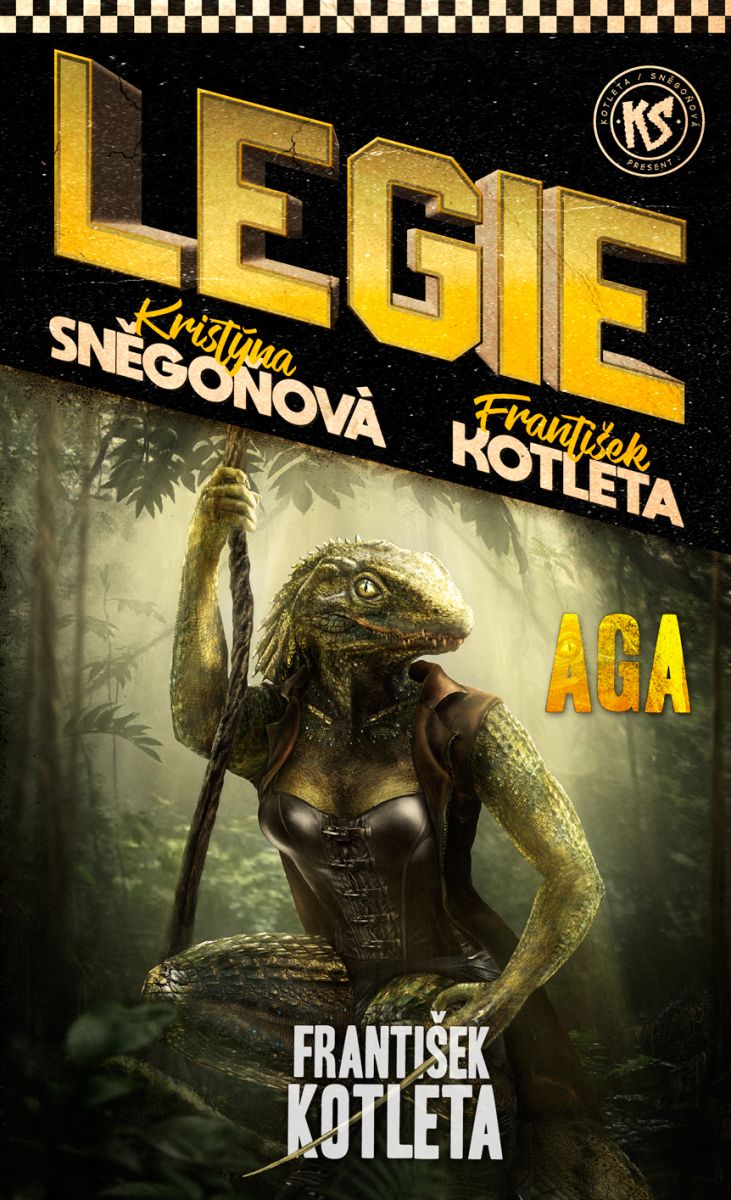 Aga book cover