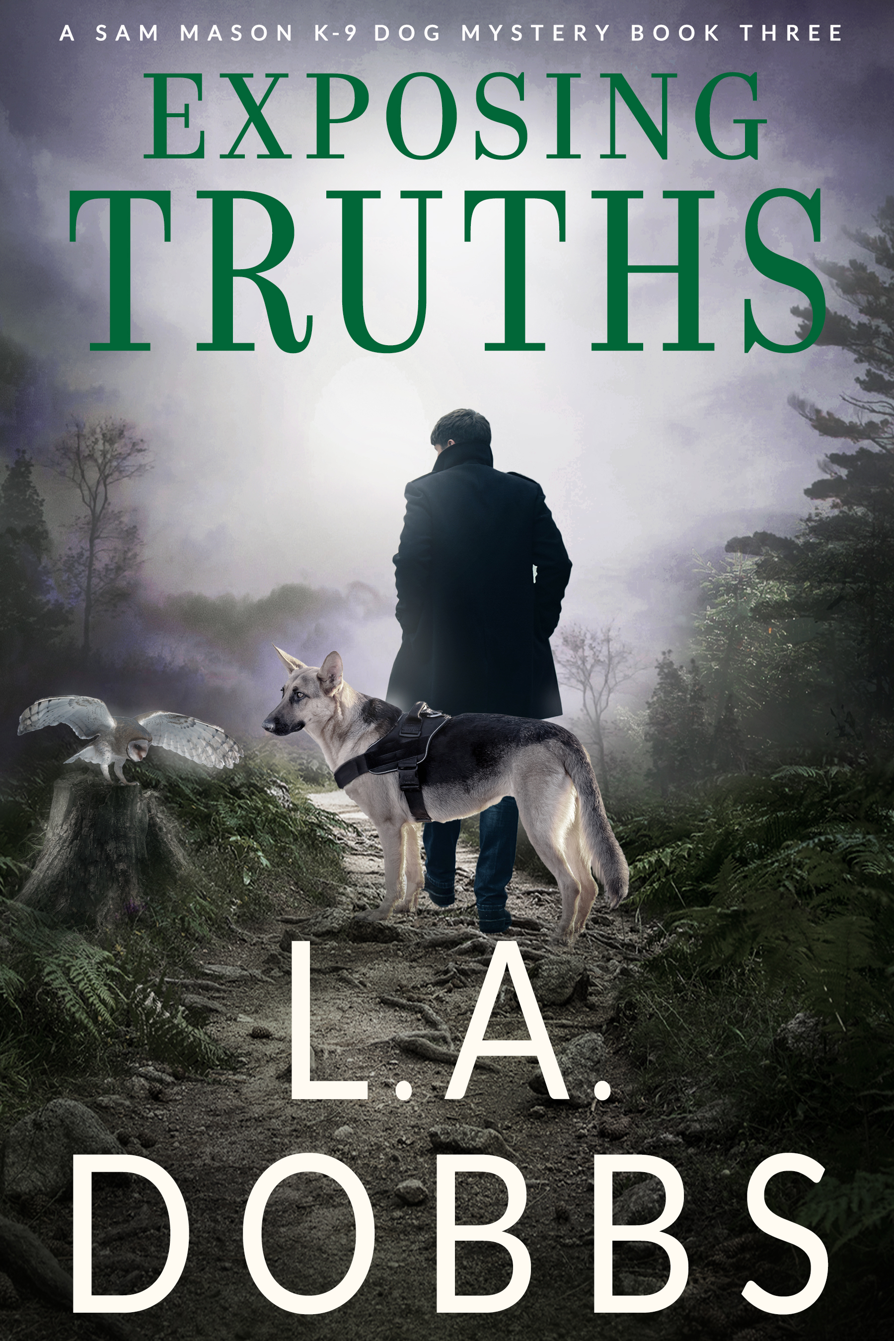 Sam Mason Mysteries book cover 3