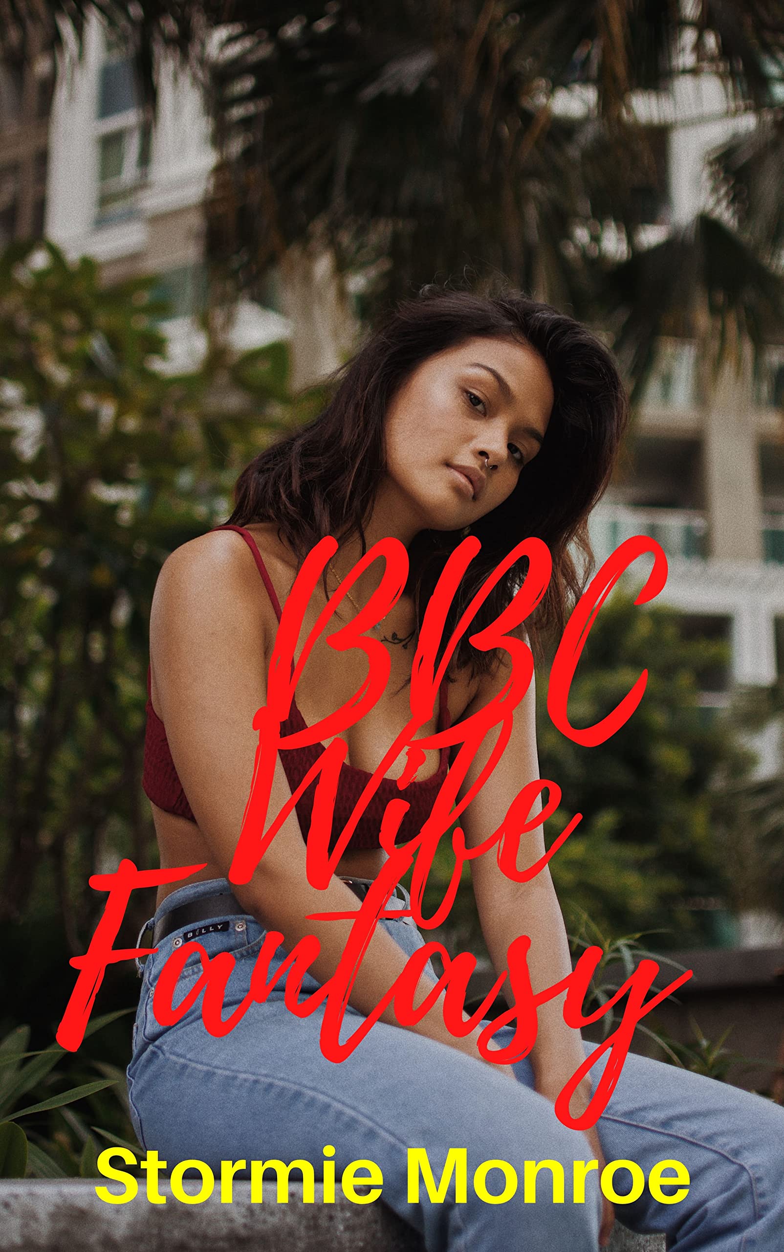BBC Wife Fantasy: 2 BMWW Taboo Interracial Short Stories by Stormie