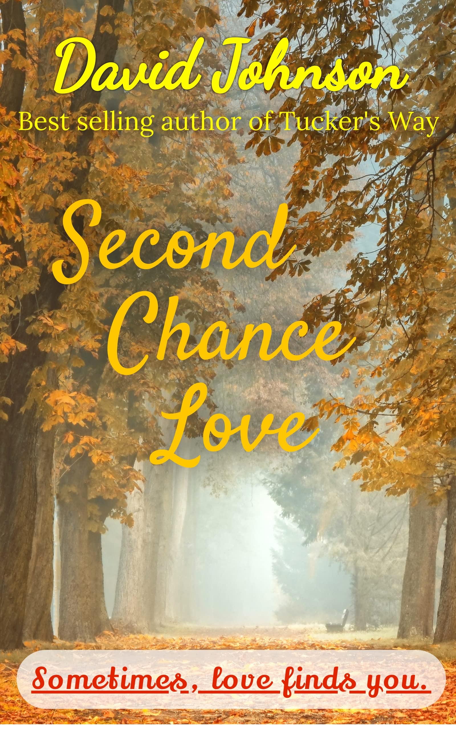 Second Chance Love