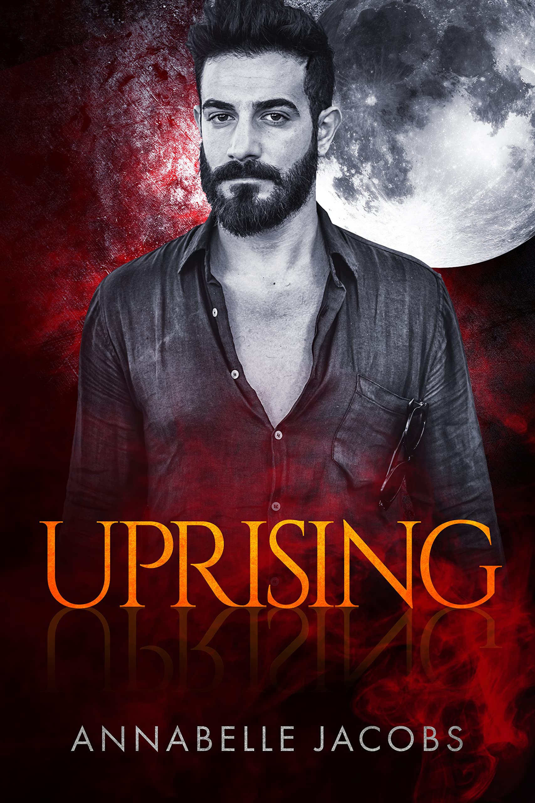 Rebellion book cover 3