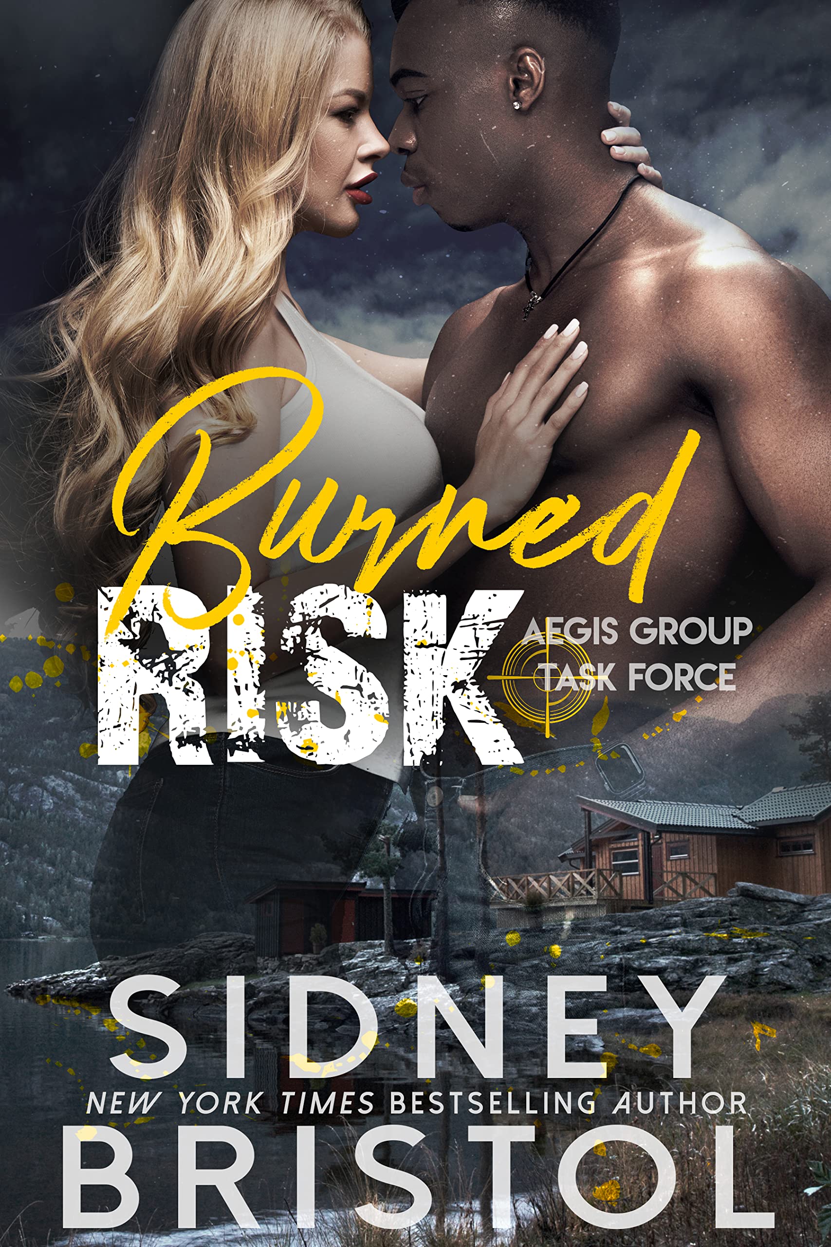 Burned Risk book cover