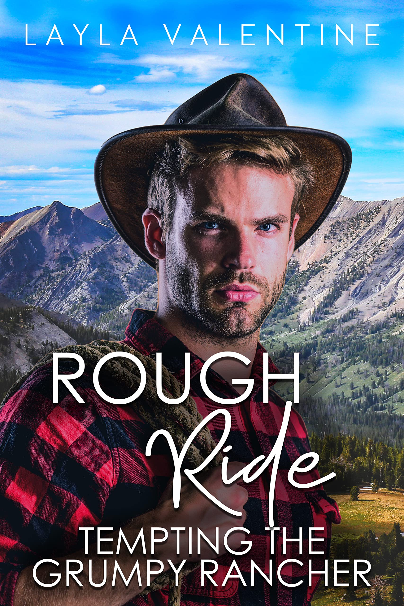 Rough Ride book cover