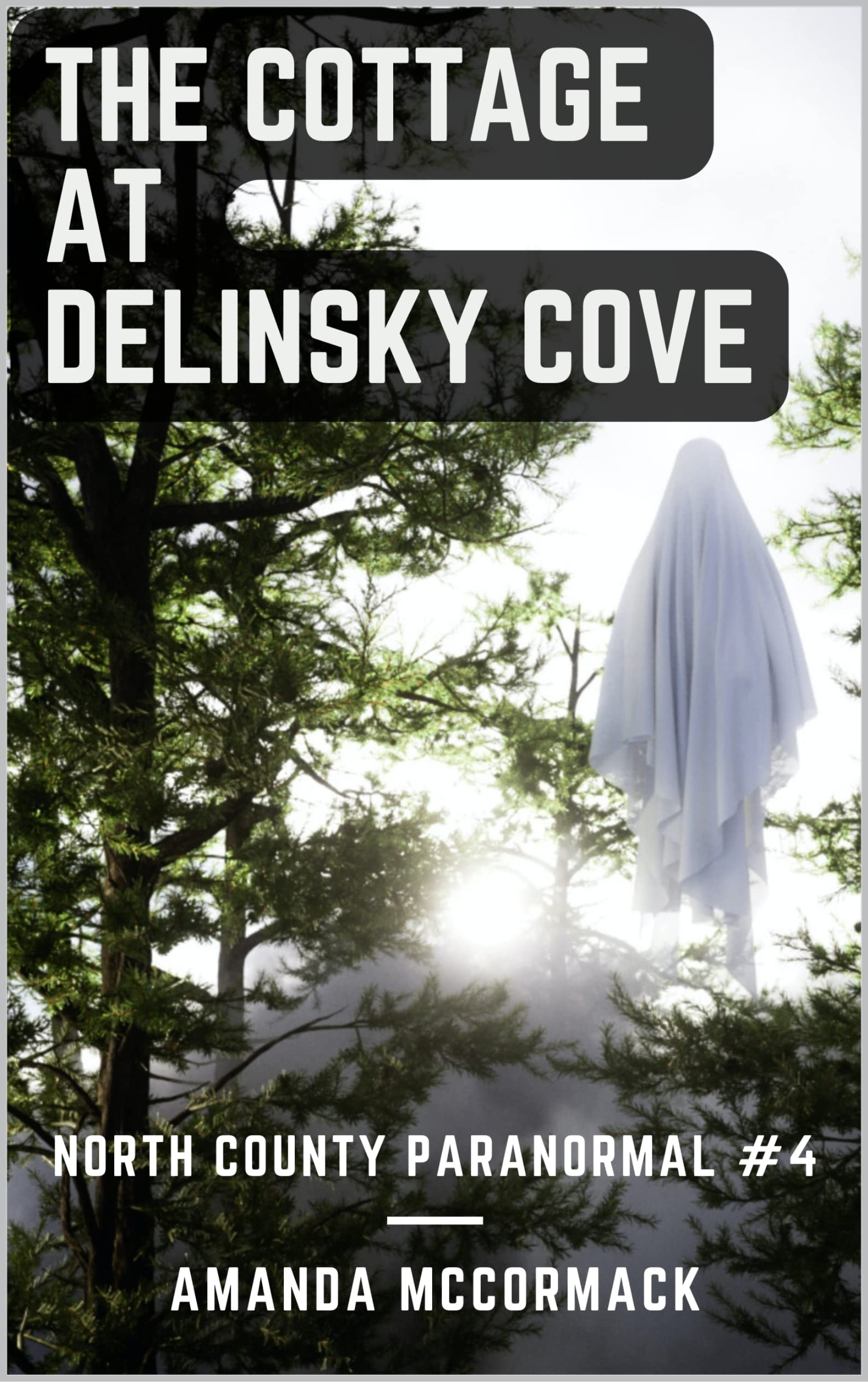 The Cottage at Delinsky Cove: North County Paranormal Unit #4