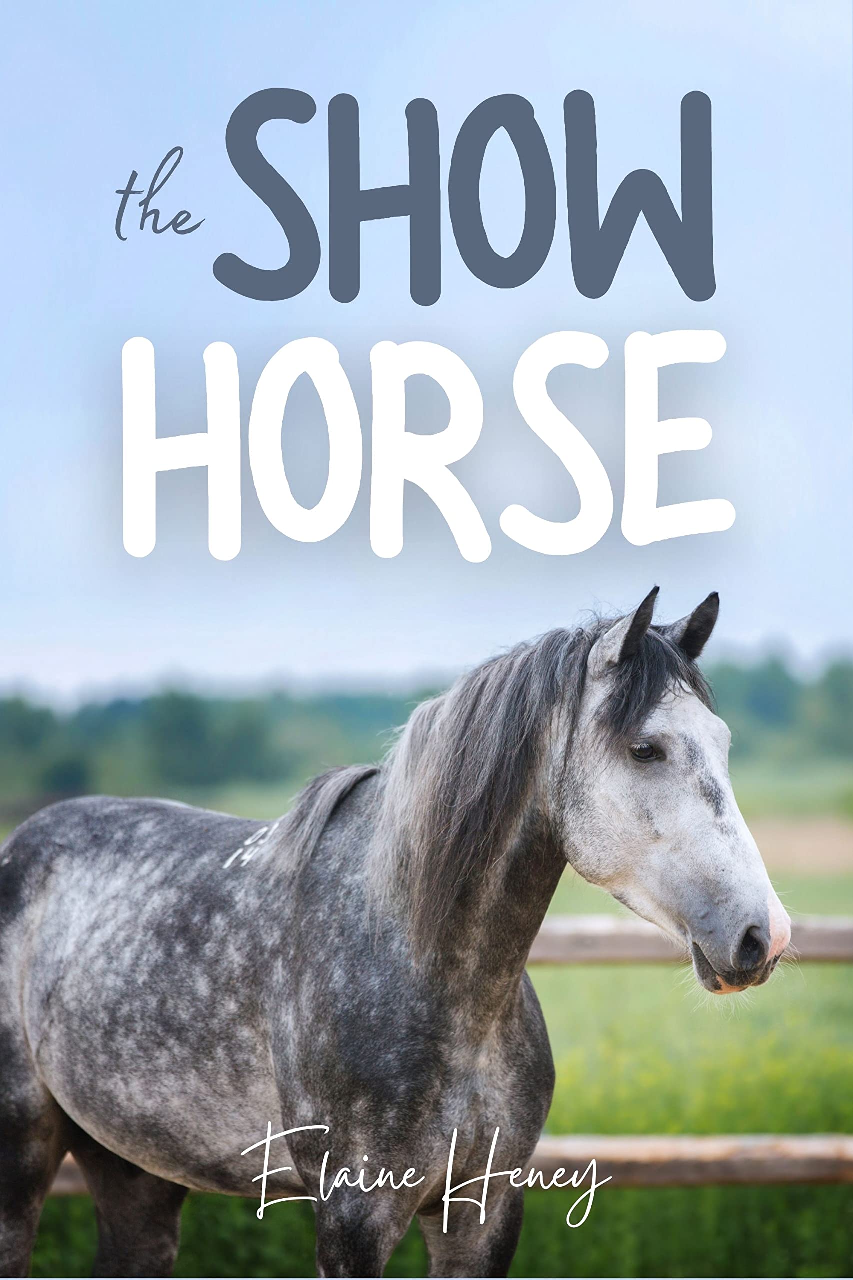 The Show Horse - Book 2 in the Connemara Horse Adventure Series for Kids | The Perfect Gift for Children age 8+.