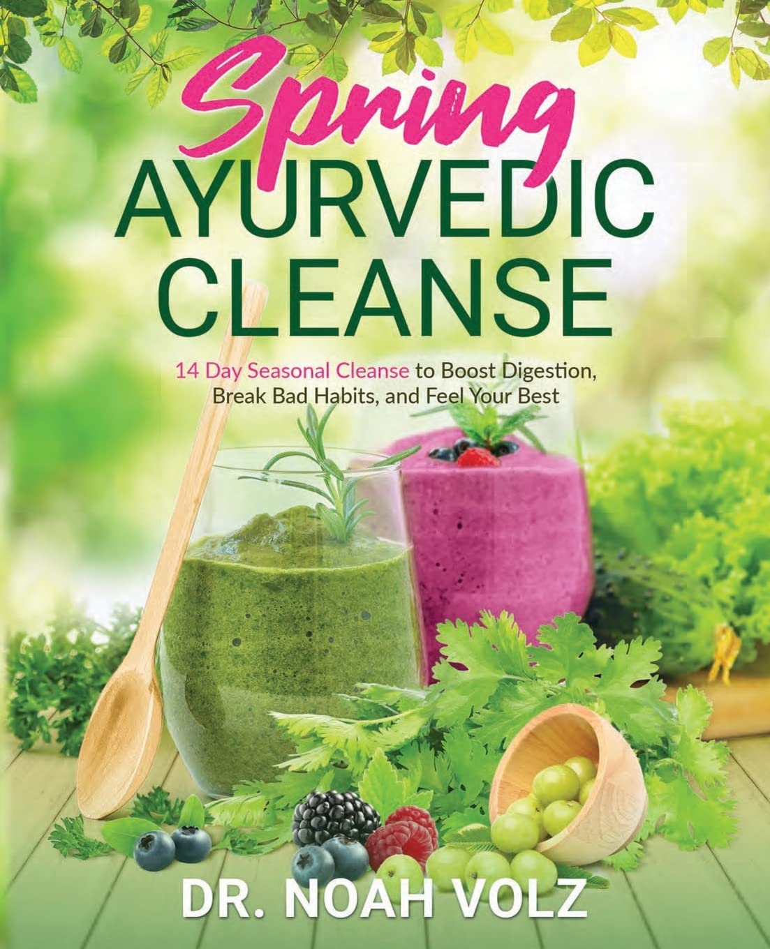 Spring Ayurvedic Cleanse A 14 Day Seasonal Cleanse to Boost Digestion, Break Bad Habits, and