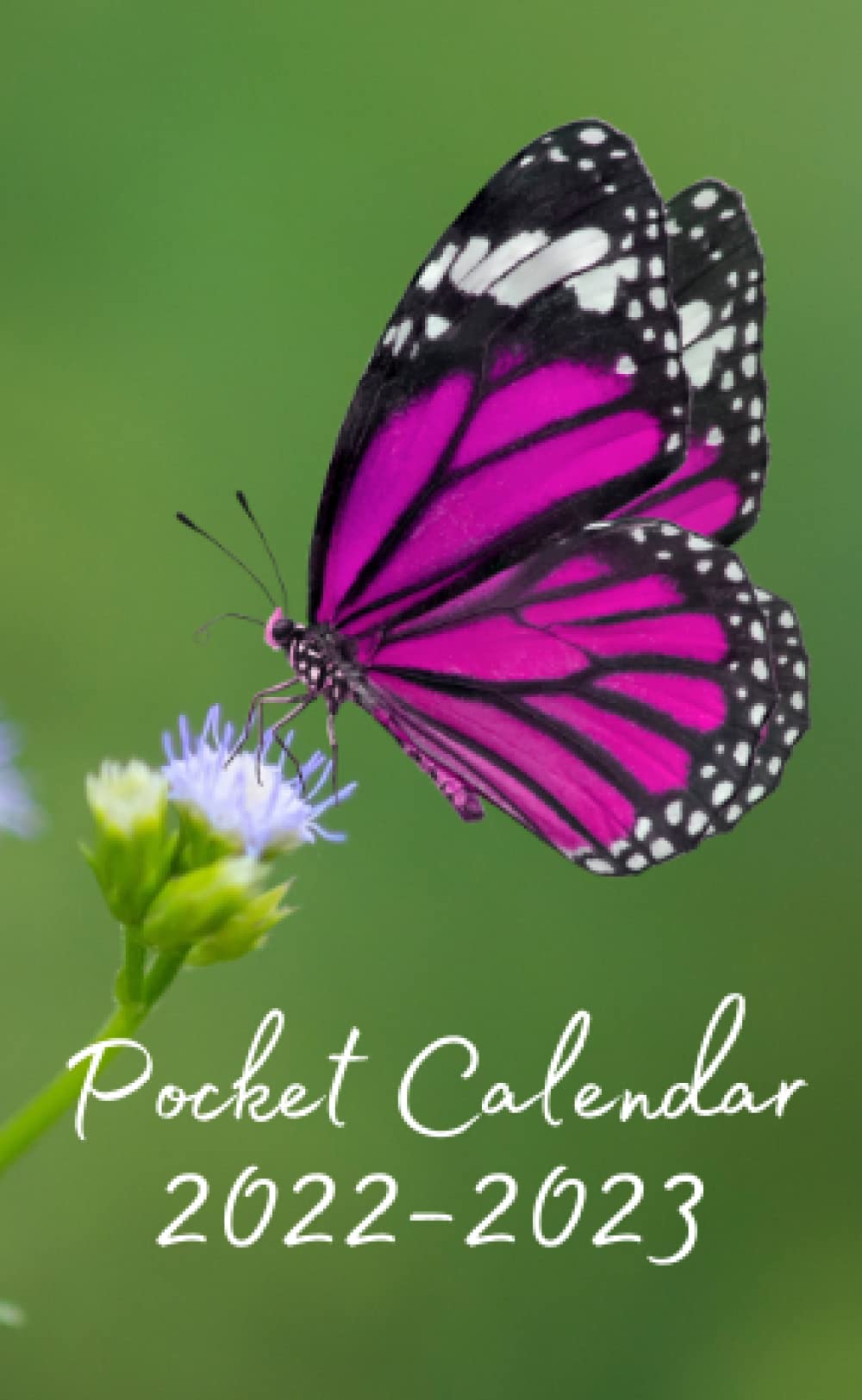 Pocket Calendar 20222023 For Purse or Bag Purple Butterfly Small 2 Year Monthly Planner